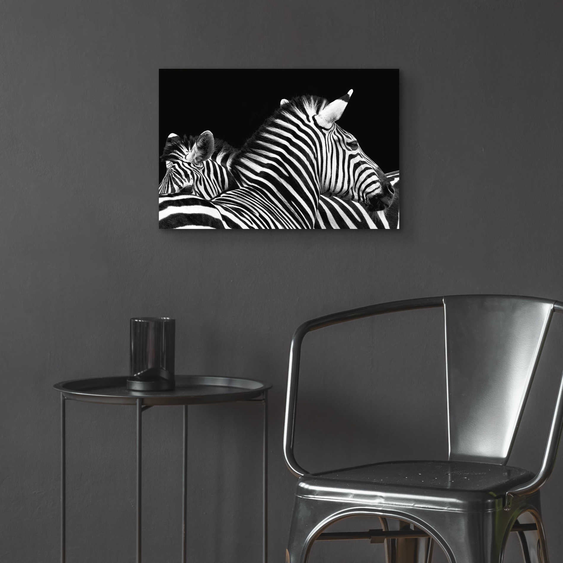 Epic Art 'Zebra I' by Debra Van Swearingen, Acrylic Glass Wall Art,24x16