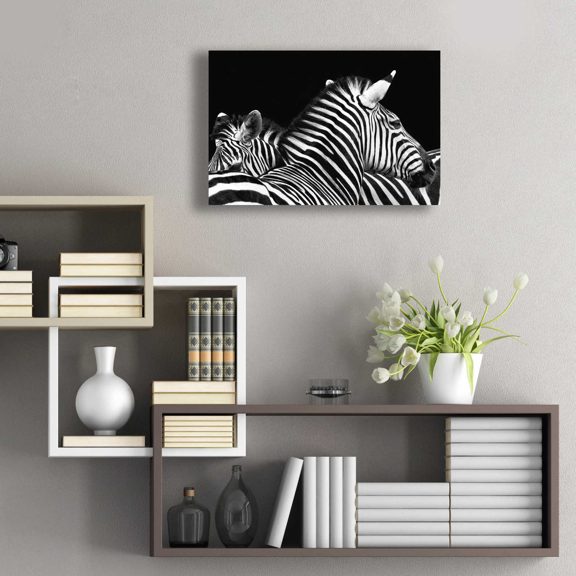 Epic Art 'Zebra I' by Debra Van Swearingen, Acrylic Glass Wall Art,24x16