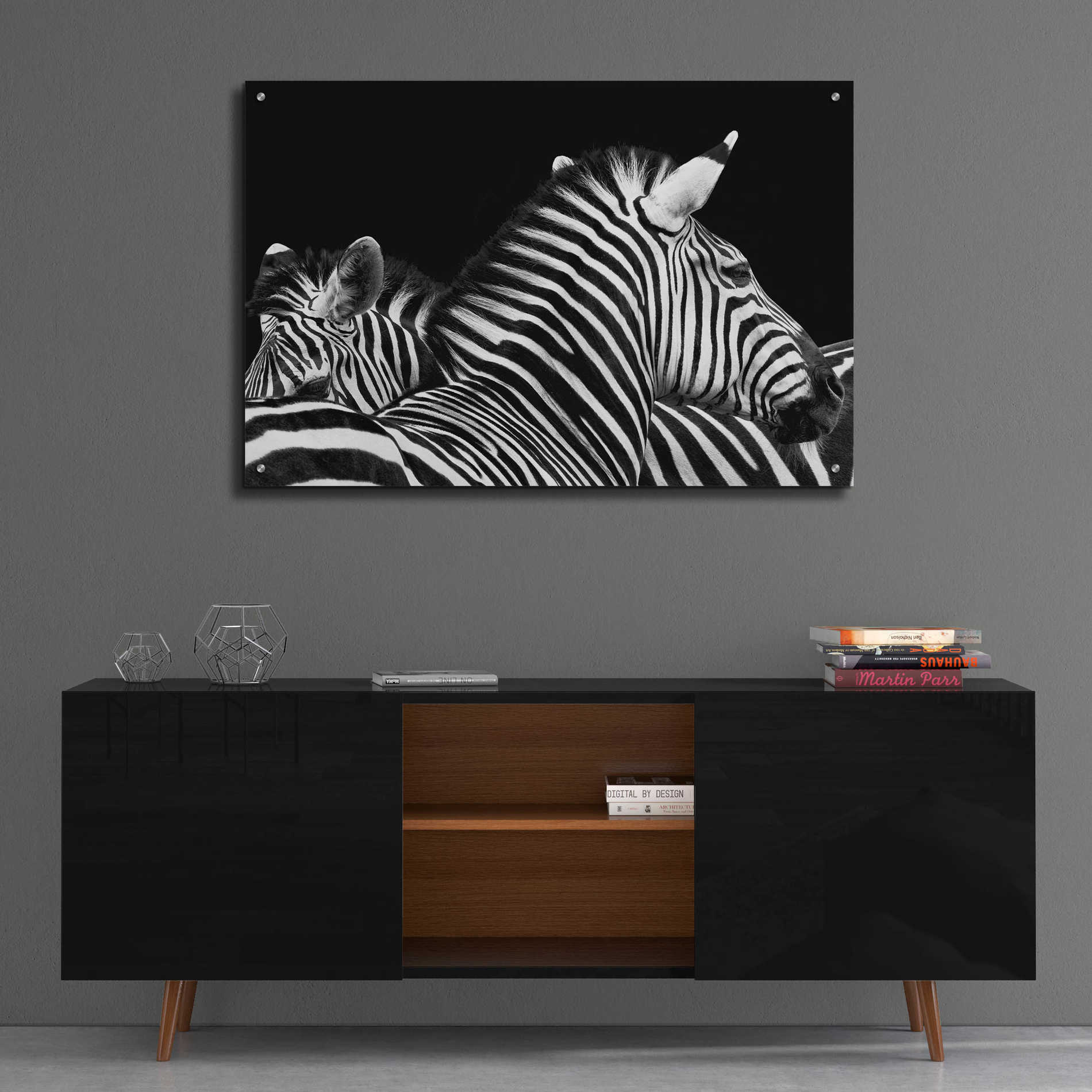 Epic Art 'Zebra I' by Debra Van Swearingen, Acrylic Glass Wall Art,36x24