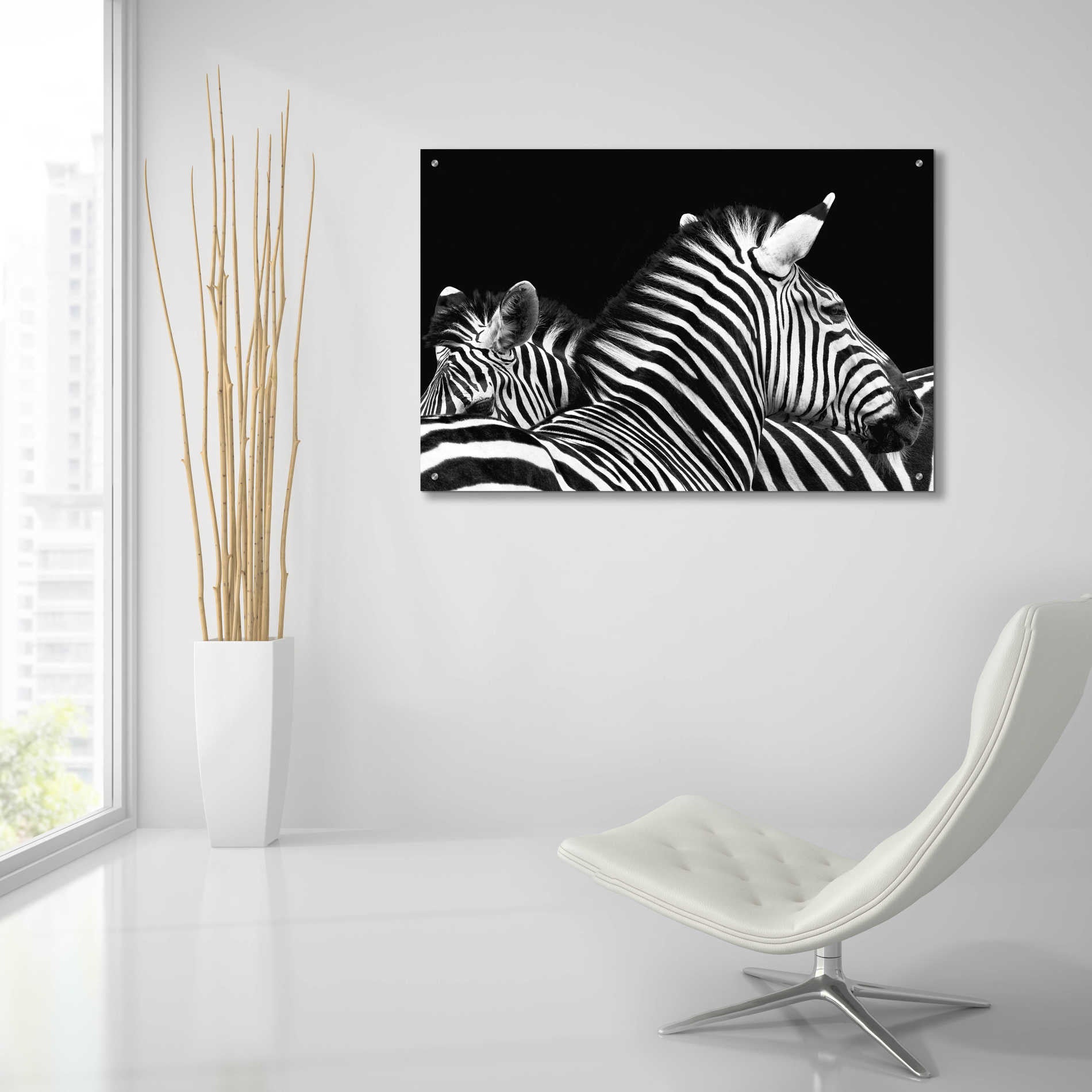 Epic Art 'Zebra I' by Debra Van Swearingen, Acrylic Glass Wall Art,36x24