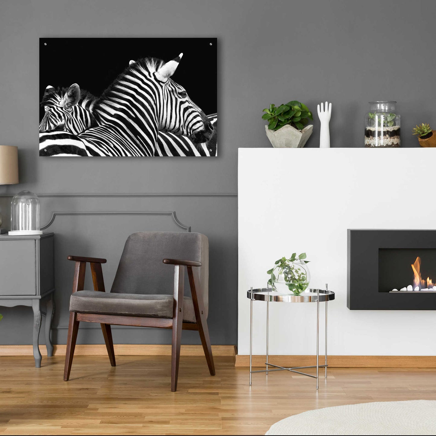 Epic Art 'Zebra I' by Debra Van Swearingen, Acrylic Glass Wall Art,36x24