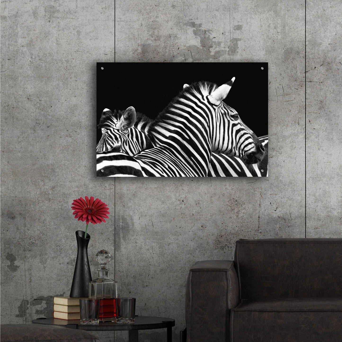 Epic Art 'Zebra I' by Debra Van Swearingen, Acrylic Glass Wall Art,36x24