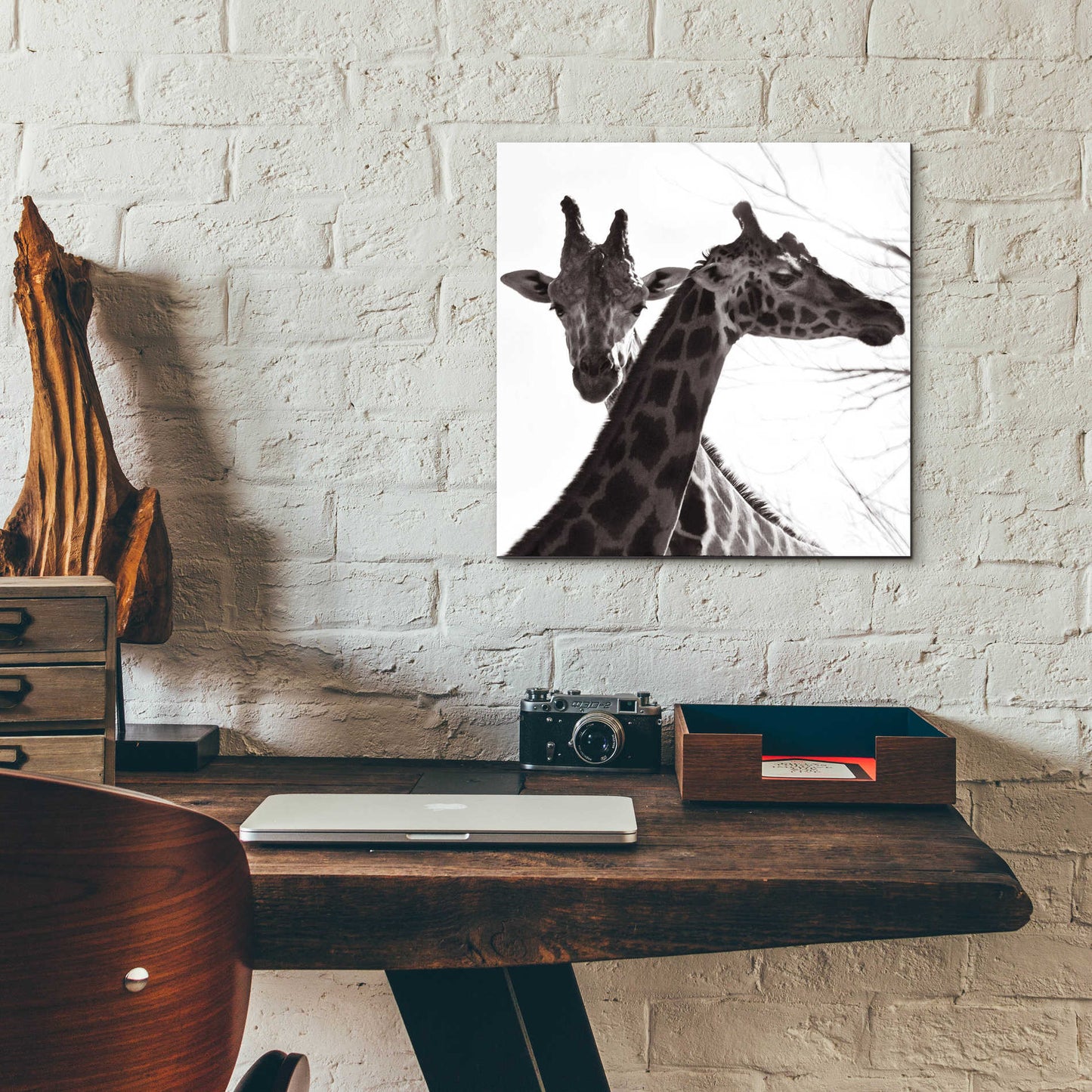 Epic Art 'Giraffe II' by Debra Van Swearingen, Acrylic Glass Wall Art,12x12