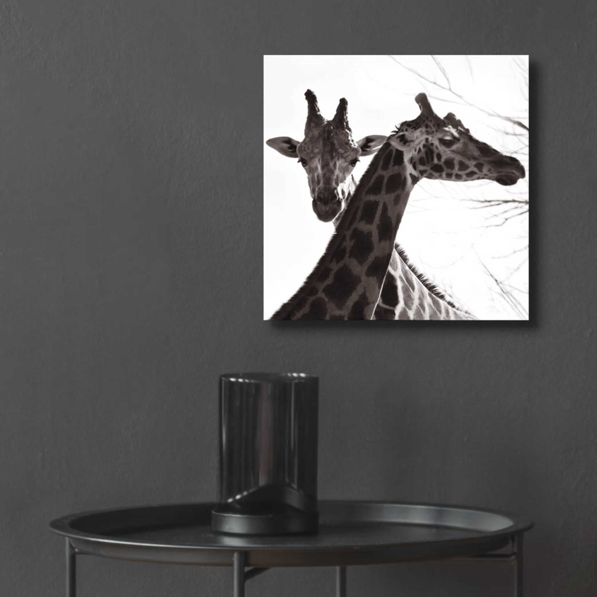 Epic Art 'Giraffe II' by Debra Van Swearingen, Acrylic Glass Wall Art,12x12