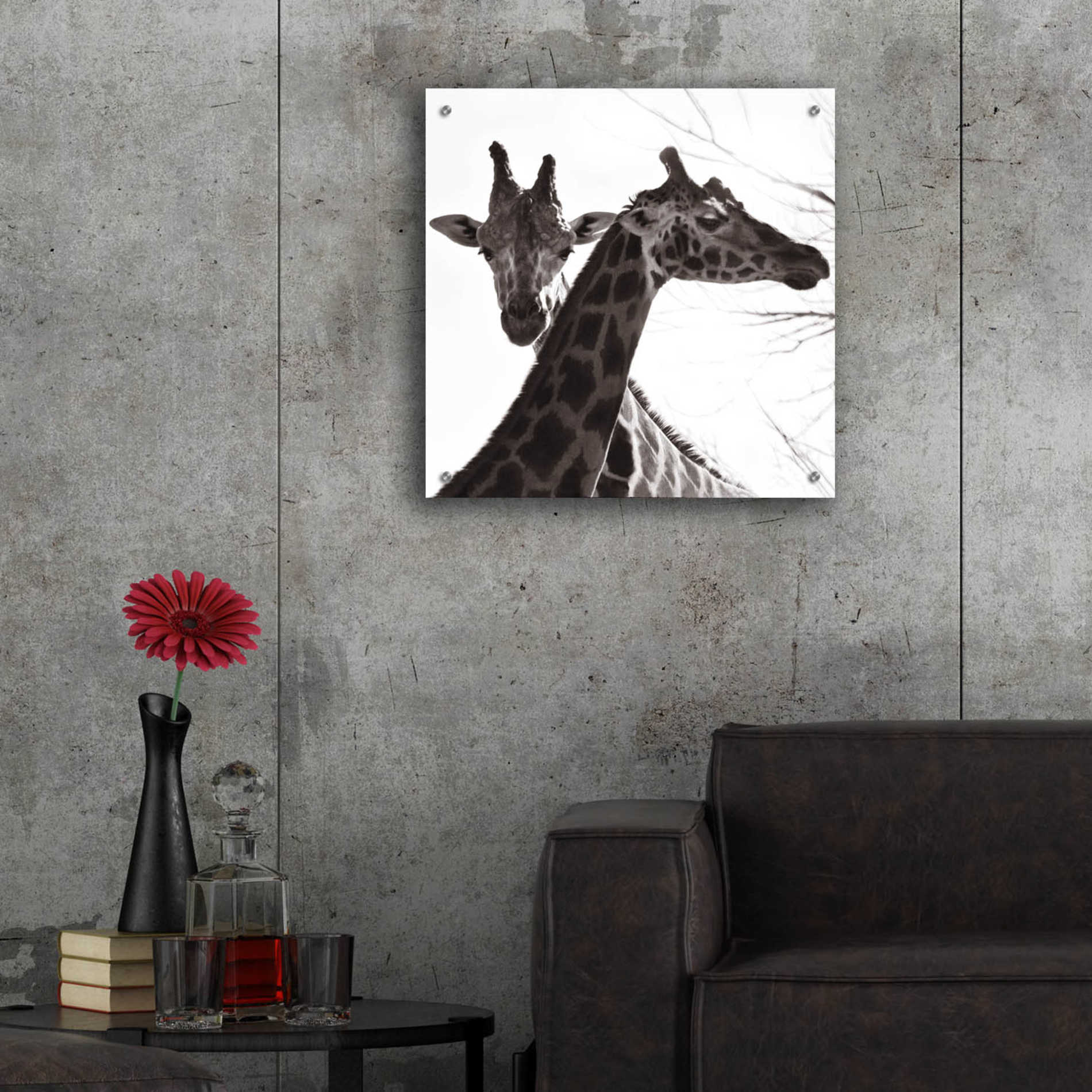 Epic Art 'Giraffe II' by Debra Van Swearingen, Acrylic Glass Wall Art,24x24