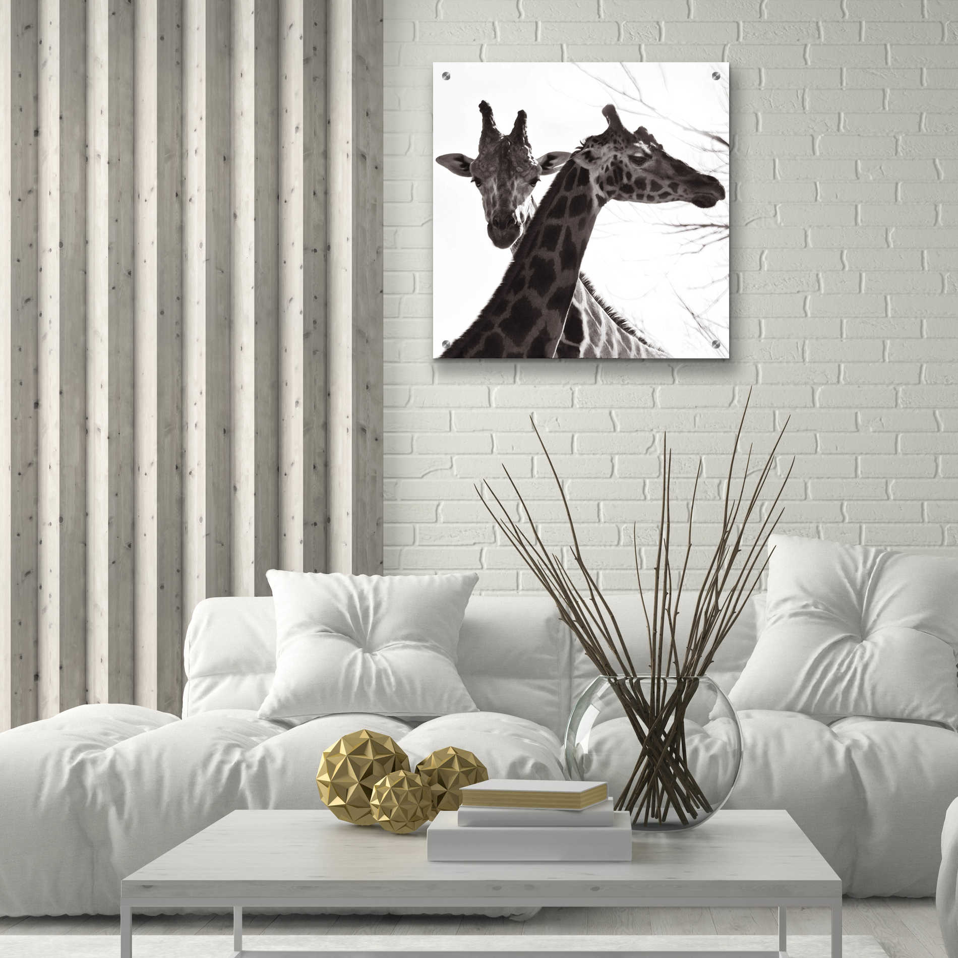 Epic Art 'Giraffe II' by Debra Van Swearingen, Acrylic Glass Wall Art,24x24