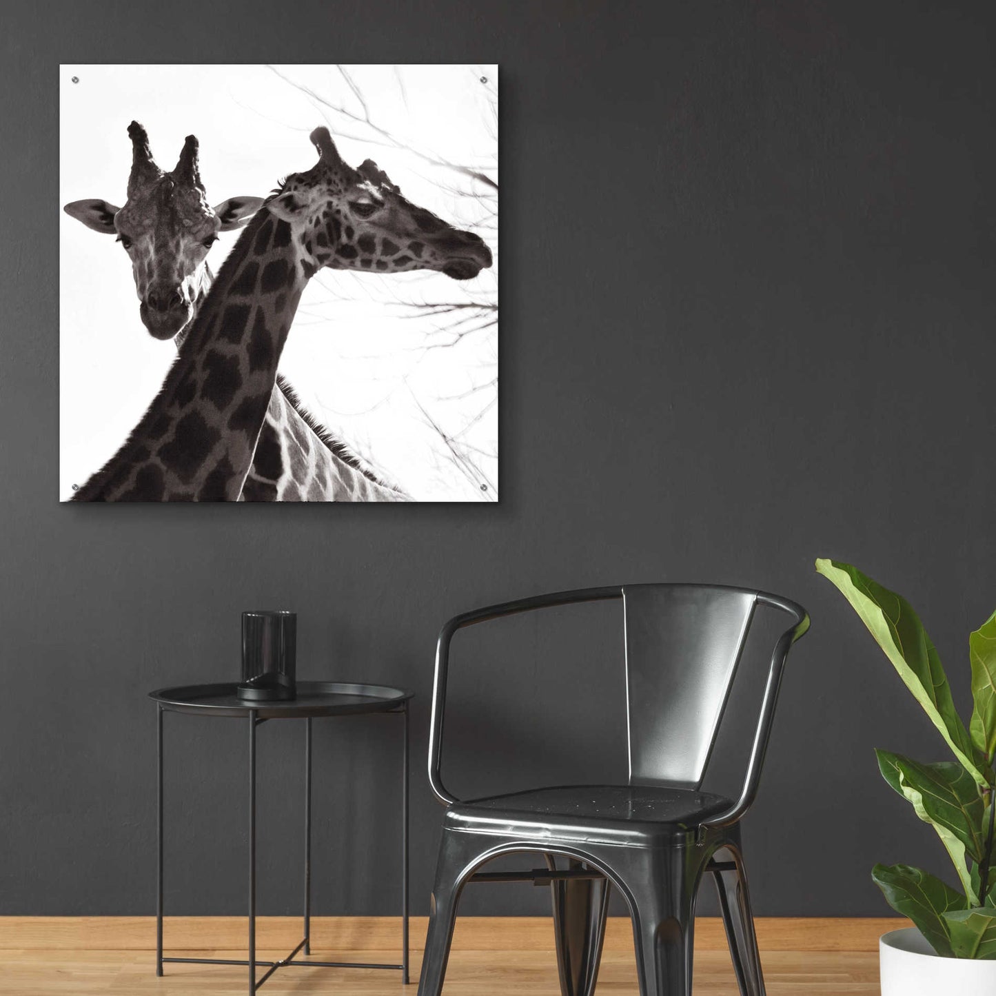 Epic Art 'Giraffe II' by Debra Van Swearingen, Acrylic Glass Wall Art,36x36