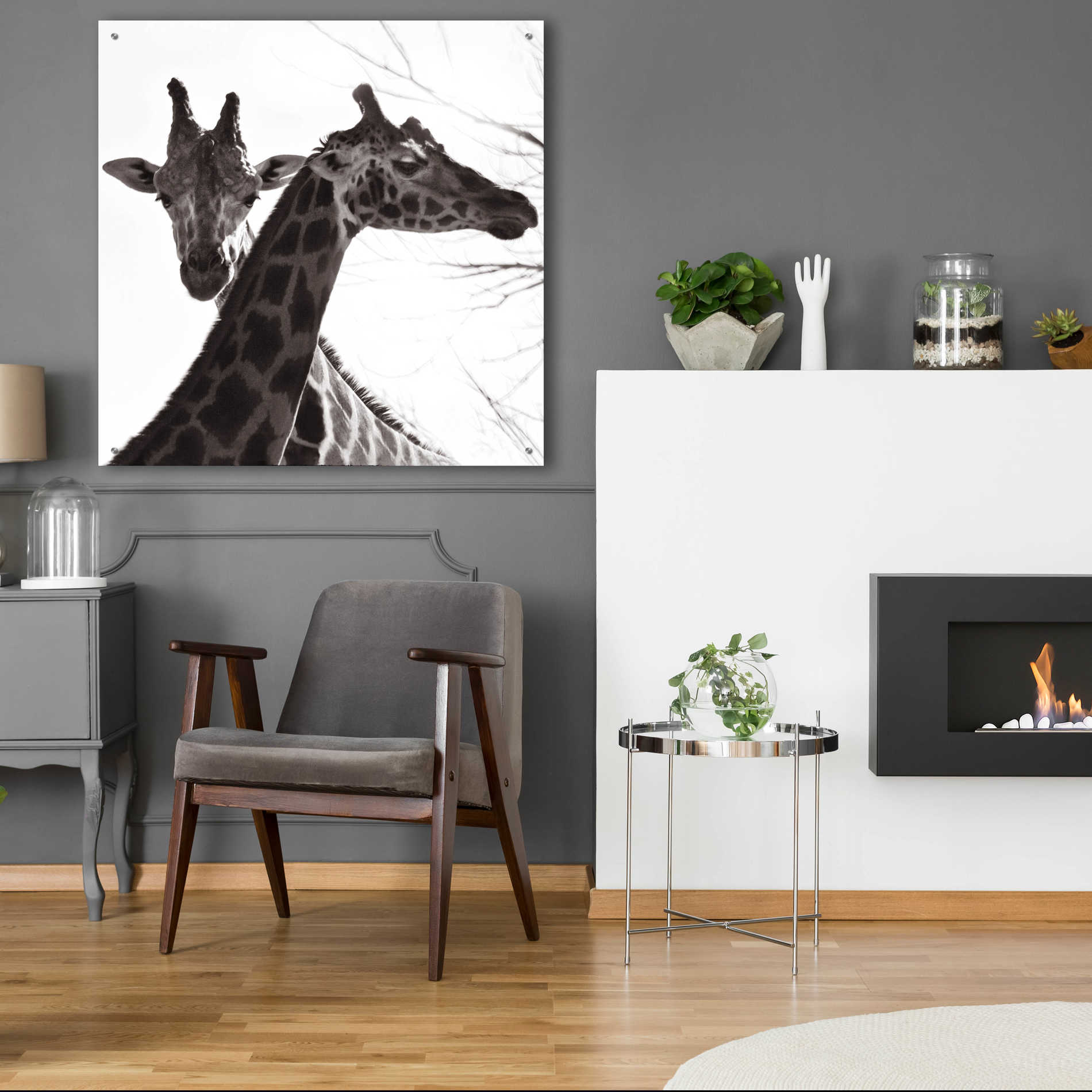 Epic Art 'Giraffe II' by Debra Van Swearingen, Acrylic Glass Wall Art,36x36