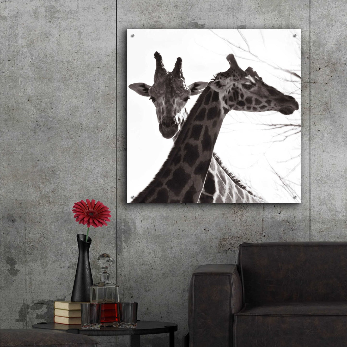 Epic Art 'Giraffe II' by Debra Van Swearingen, Acrylic Glass Wall Art,36x36