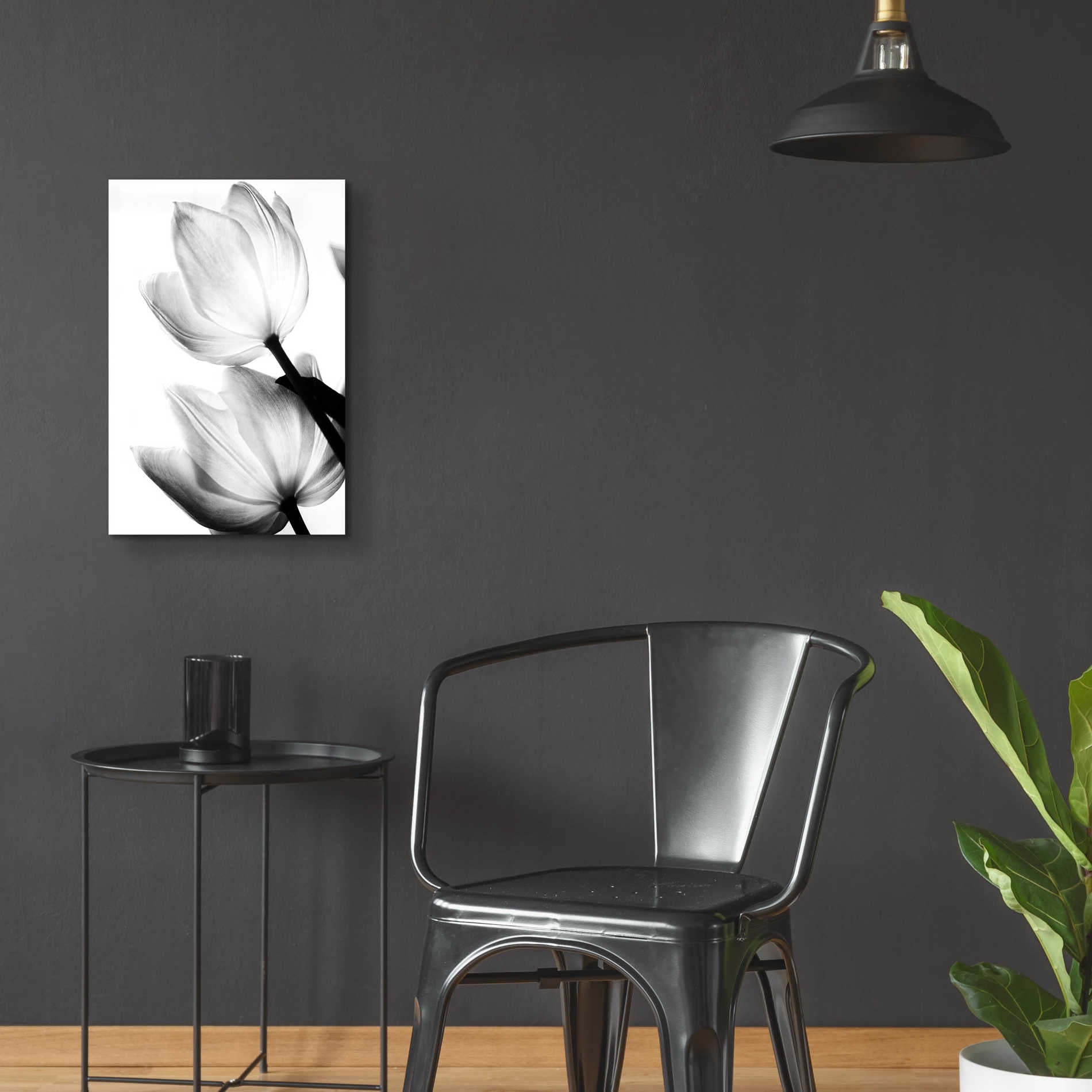 Epic Art 'Translucent Tulips II' by Debra Van Swearingen, Acrylic Glass Wall Art,16x24