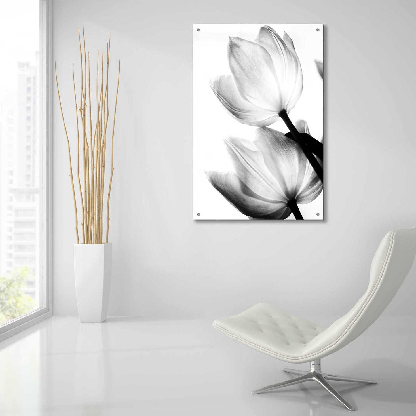 Epic Art 'Translucent Tulips II' by Debra Van Swearingen, Acrylic Glass Wall Art,24x36