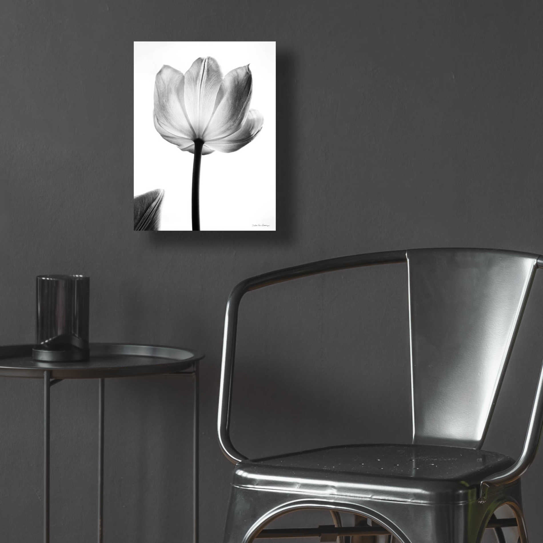 Epic Art 'Translucent Tulips I' by Debra Van Swearingen, Acrylic Glass Wall Art,12x16