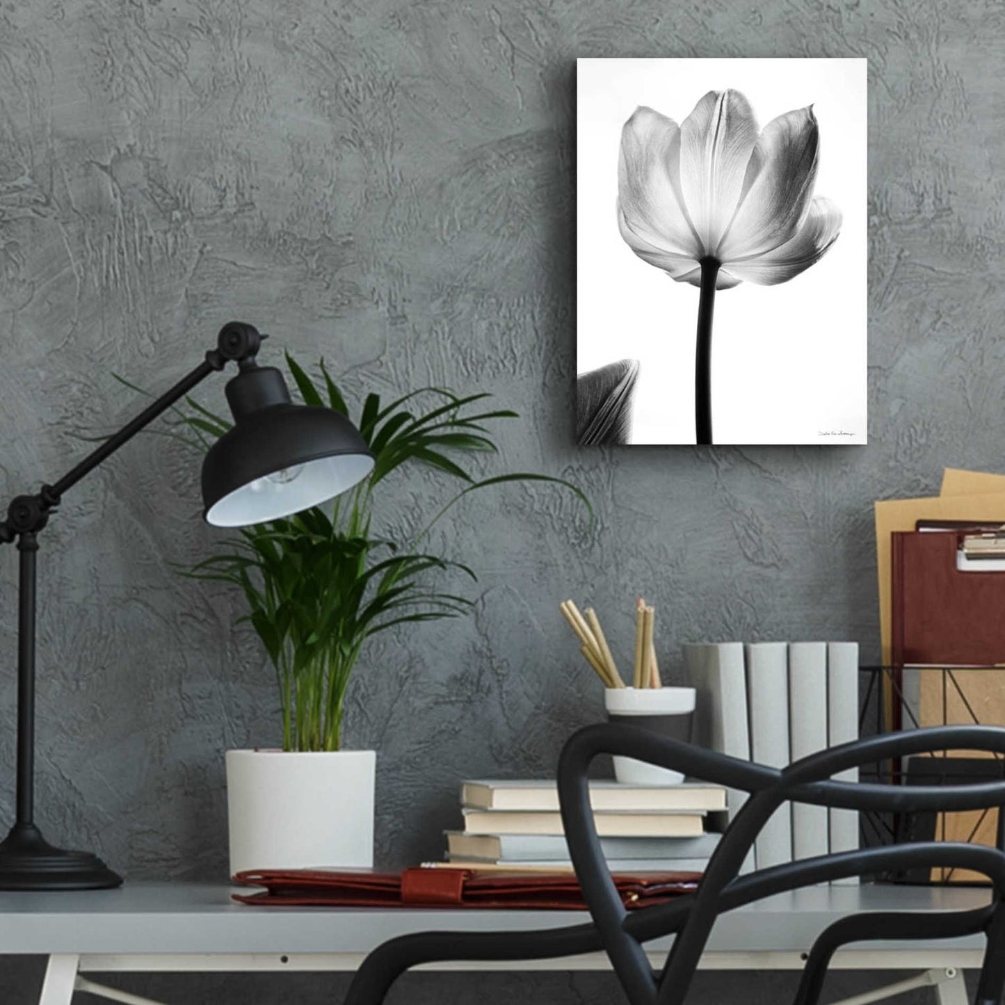 Epic Art 'Translucent Tulips I' by Debra Van Swearingen, Acrylic Glass Wall Art,12x16