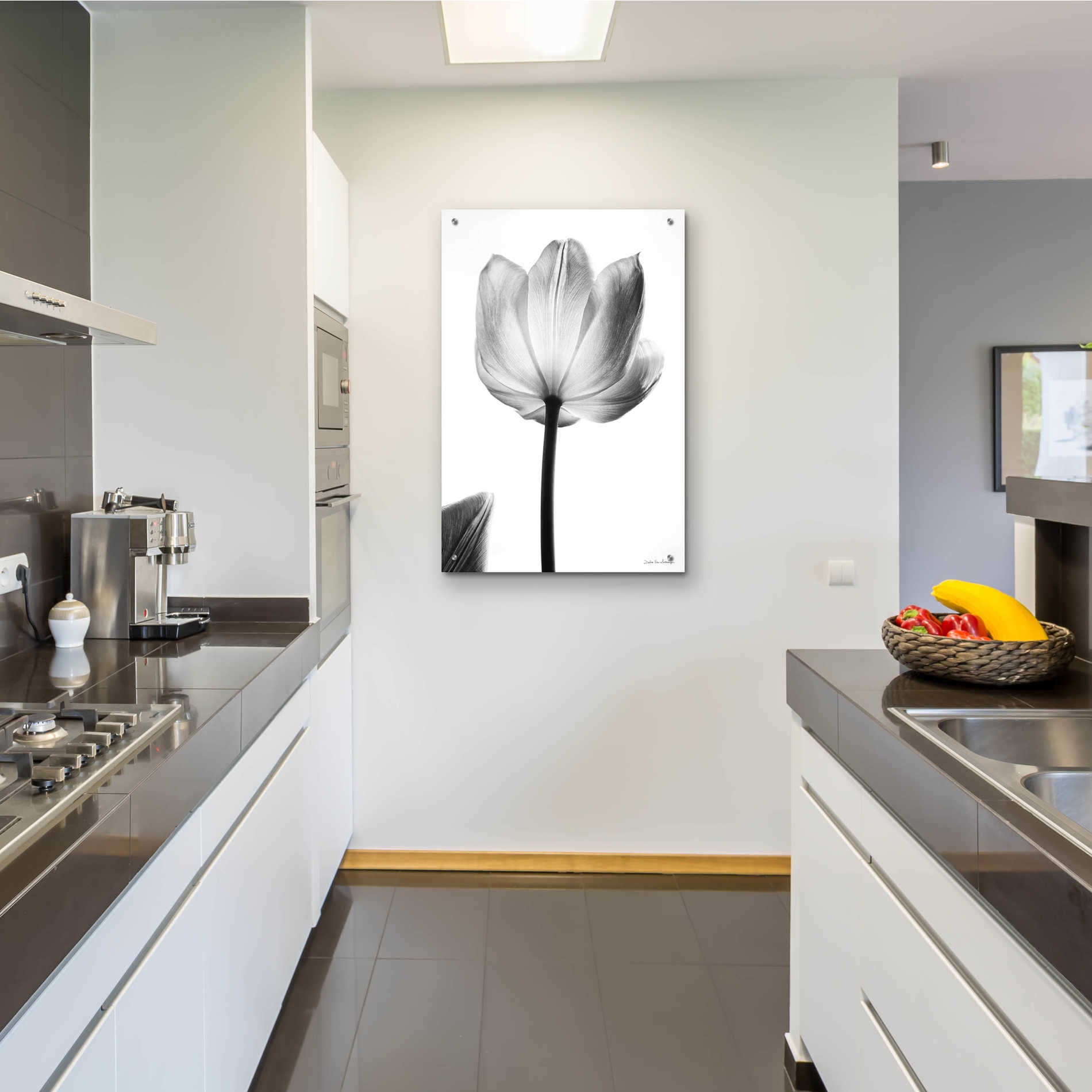 Epic Art 'Translucent Tulips I' by Debra Van Swearingen, Acrylic Glass Wall Art,24x36