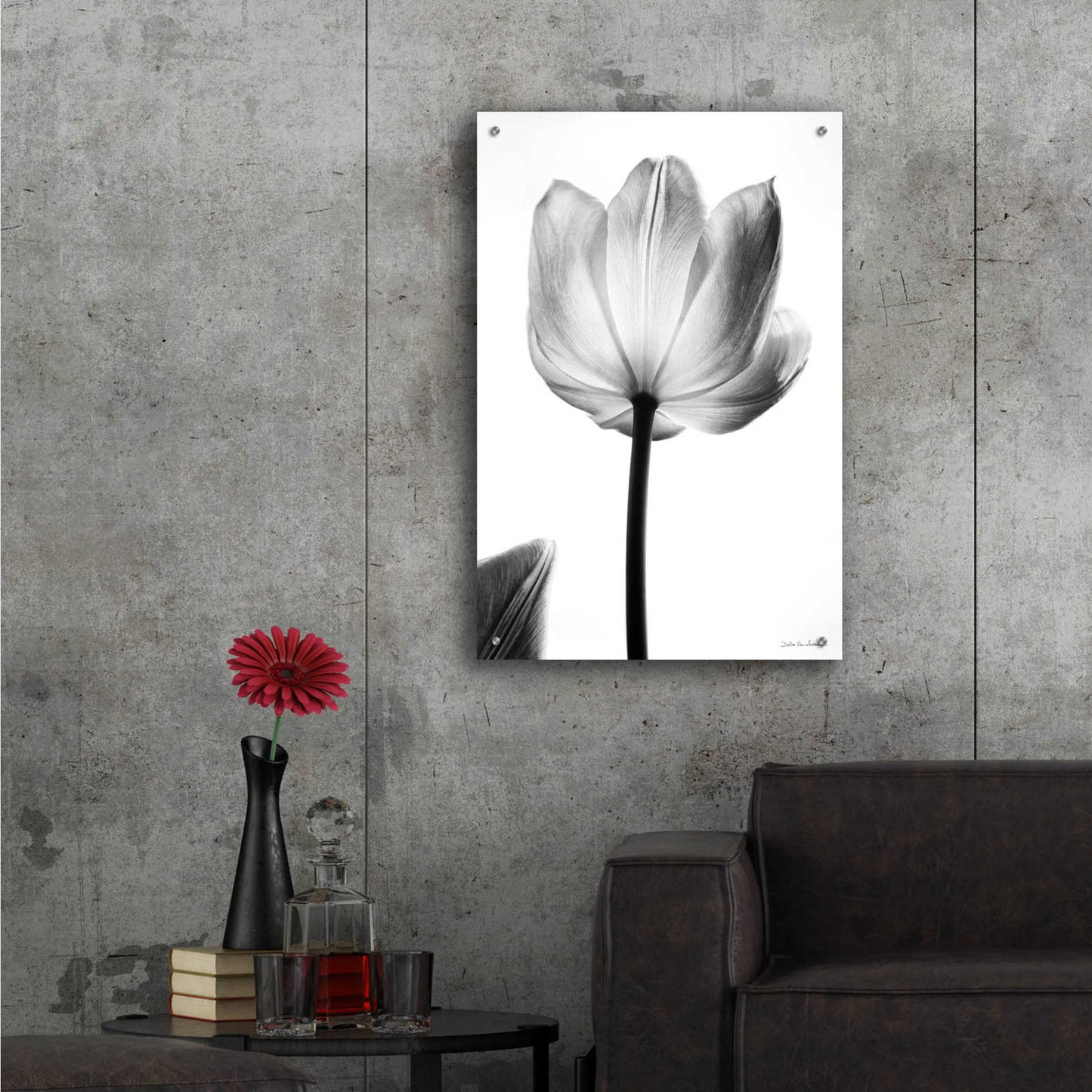Epic Art 'Translucent Tulips I' by Debra Van Swearingen, Acrylic Glass Wall Art,24x36