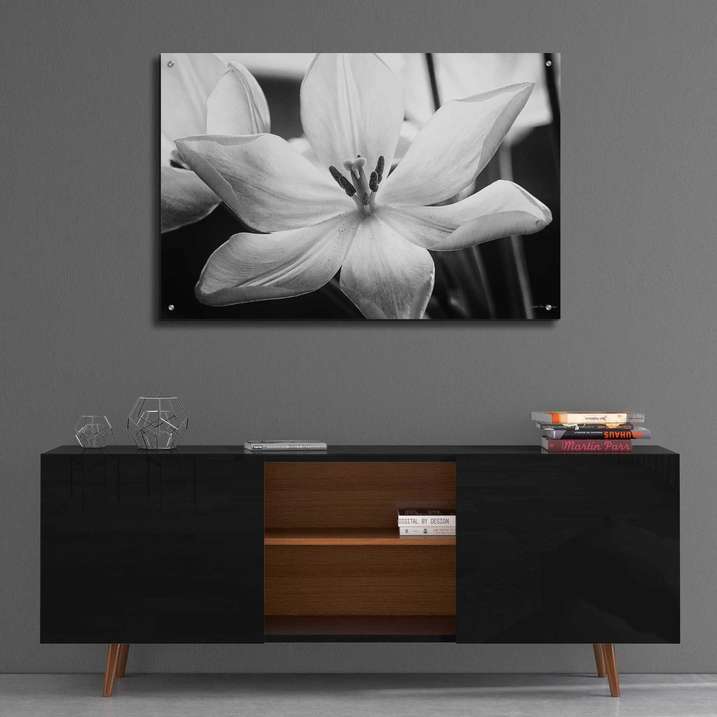 Epic Art 'Translucent Tulips IV' by Debra Van Swearingen, Acrylic Glass Wall Art,36x24