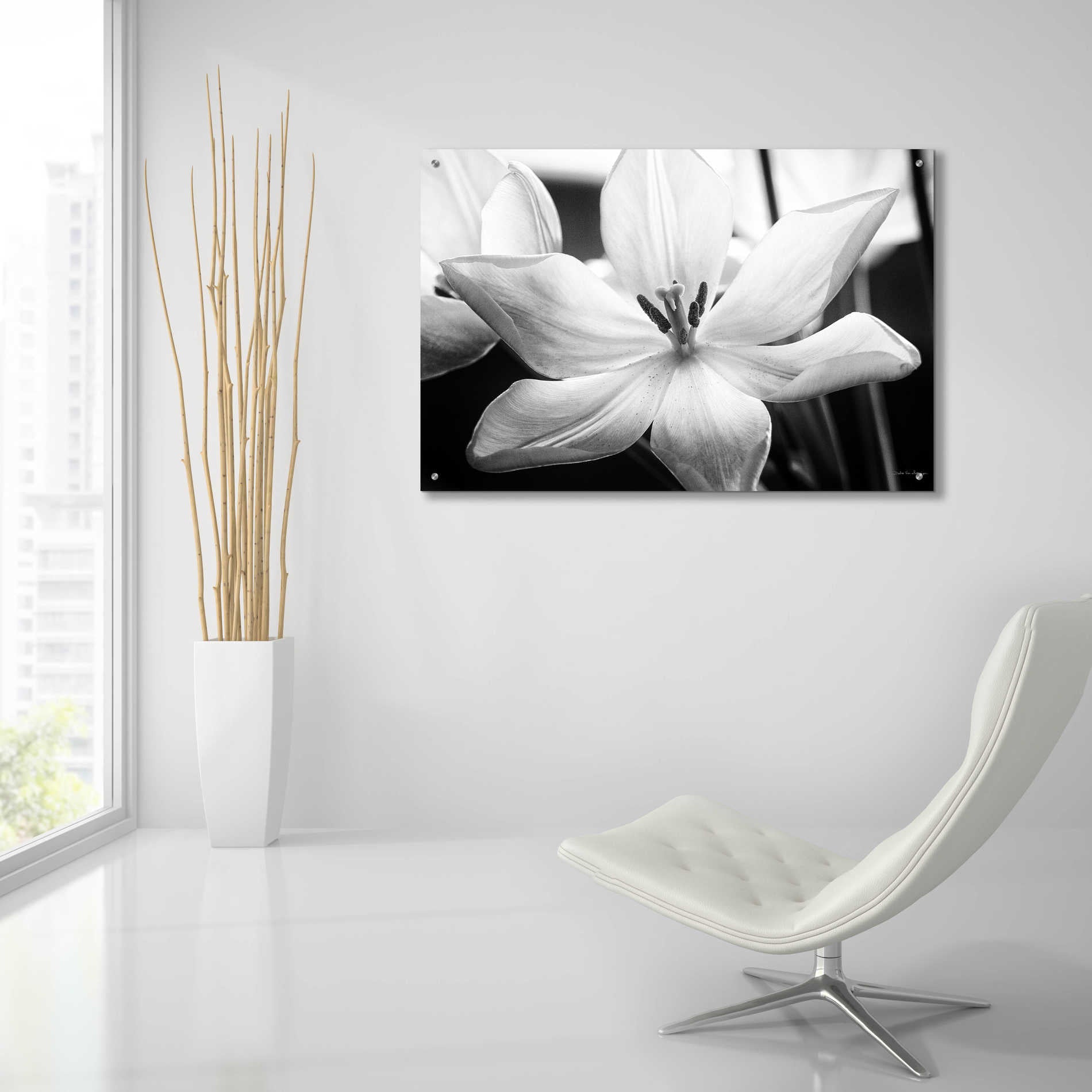 Epic Art 'Translucent Tulips IV' by Debra Van Swearingen, Acrylic Glass Wall Art,36x24