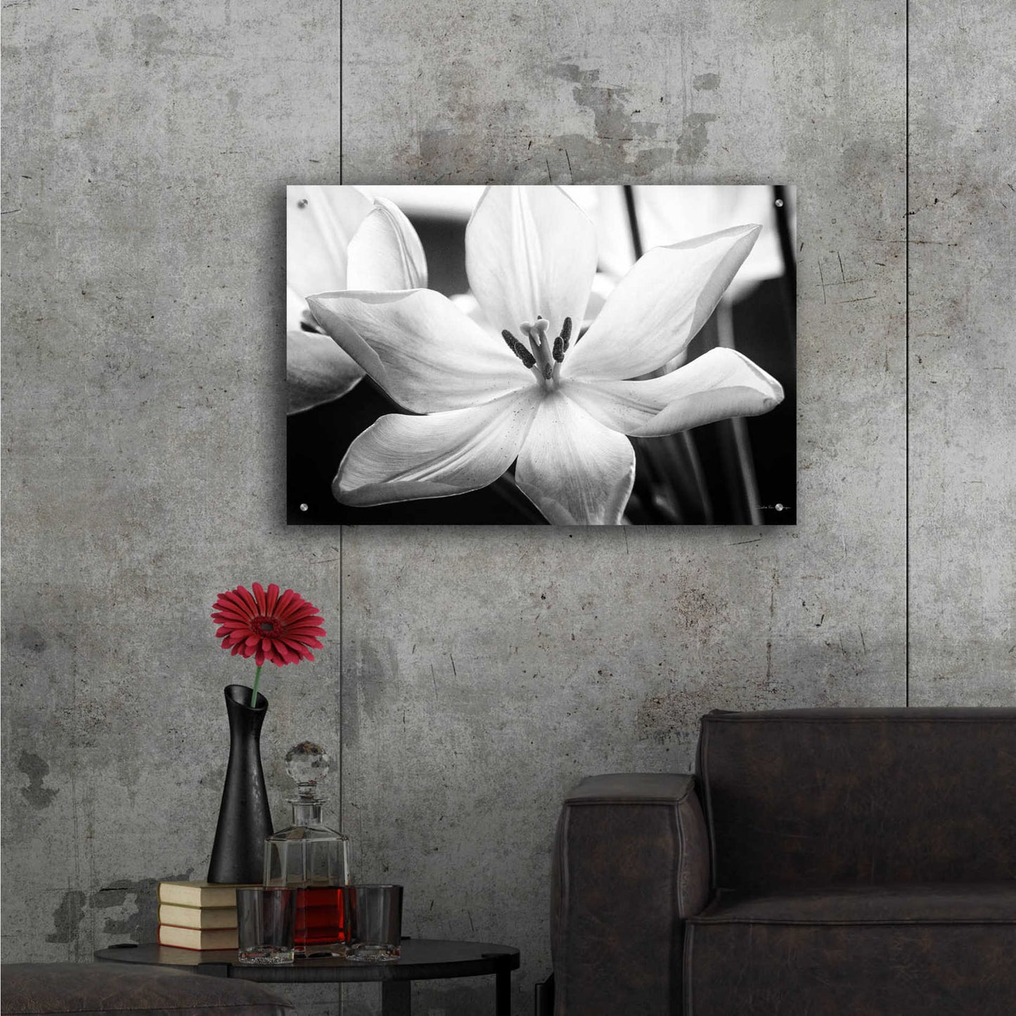 Epic Art 'Translucent Tulips IV' by Debra Van Swearingen, Acrylic Glass Wall Art,36x24