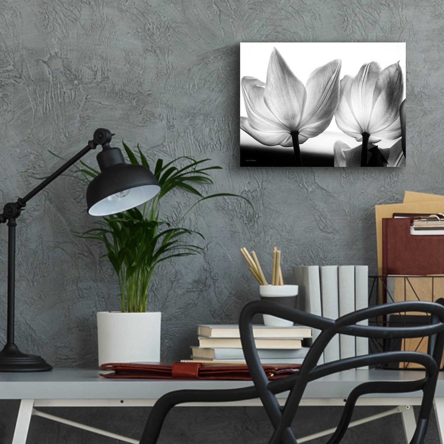 Epic Art 'Translucent Tulips V' by Debra Van Swearingen, Acrylic Glass Wall Art,16x12