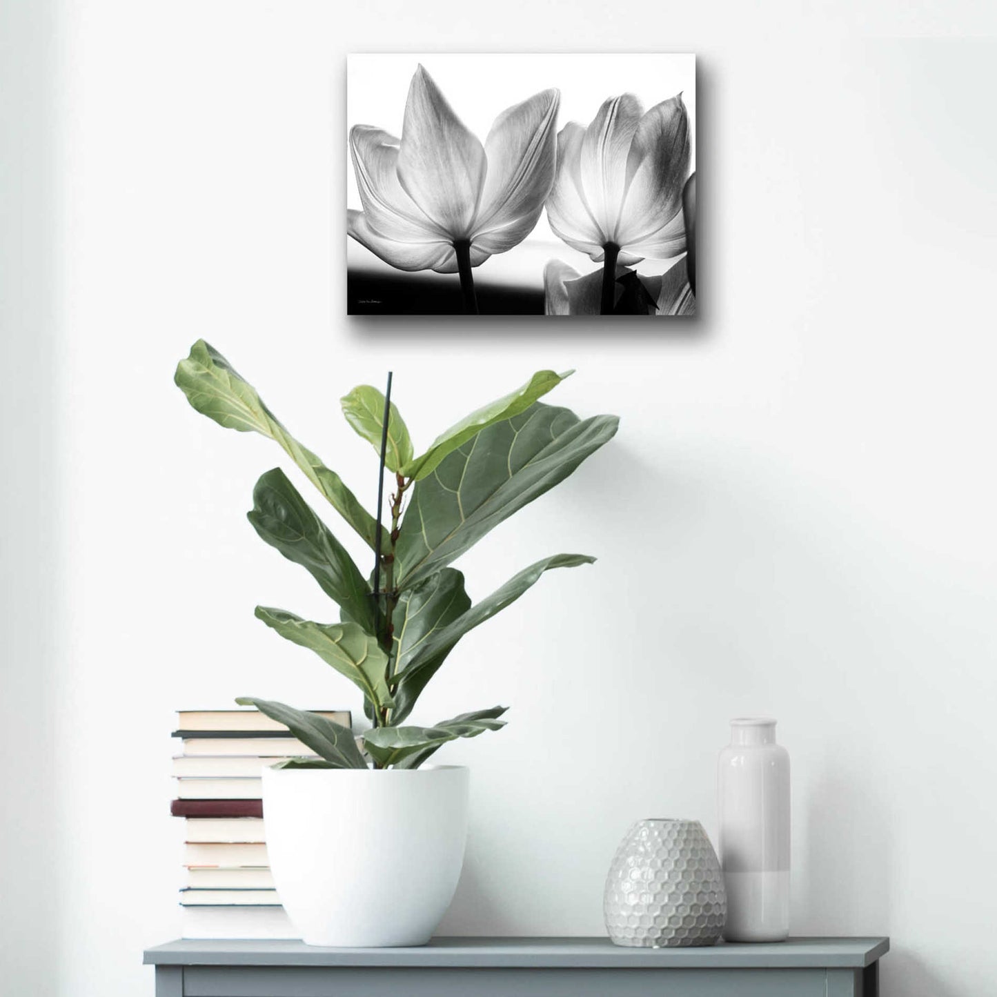 Epic Art 'Translucent Tulips V' by Debra Van Swearingen, Acrylic Glass Wall Art,16x12