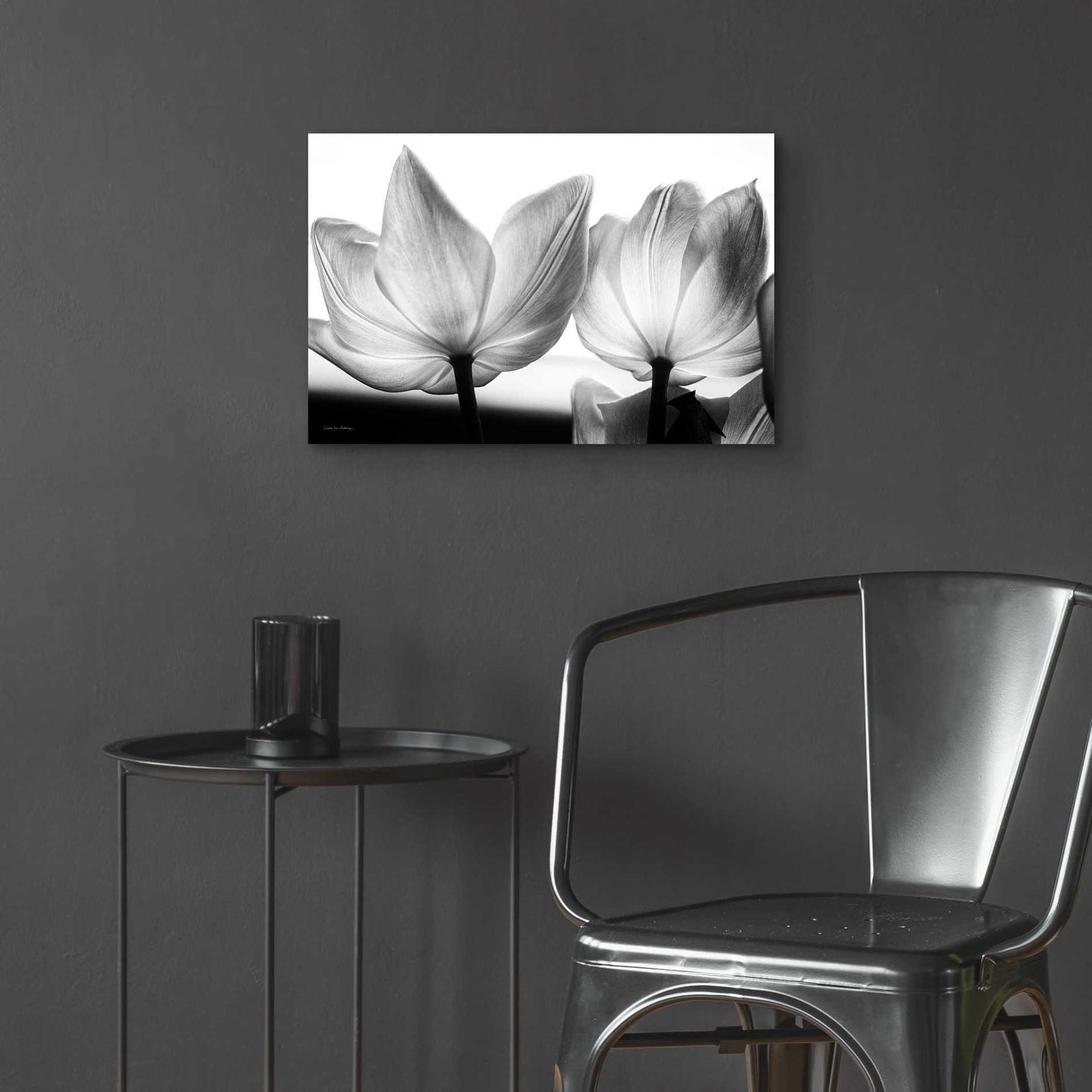 Epic Art 'Translucent Tulips V' by Debra Van Swearingen, Acrylic Glass Wall Art,24x16