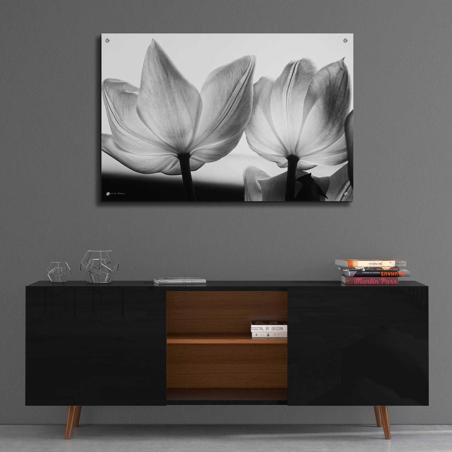 Epic Art 'Translucent Tulips V' by Debra Van Swearingen, Acrylic Glass Wall Art,36x24