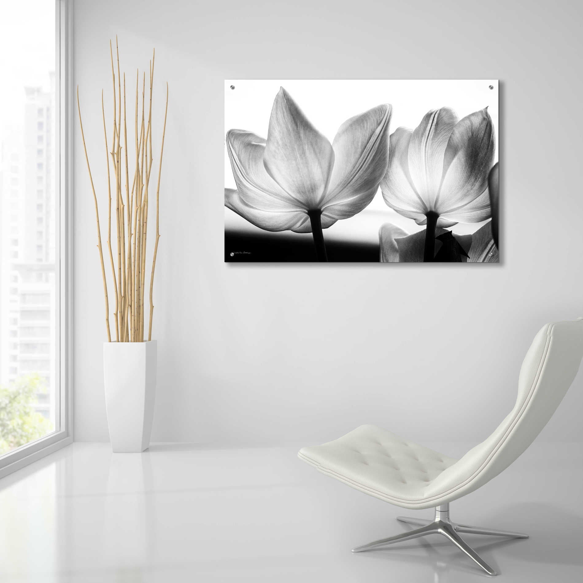 Epic Art 'Translucent Tulips V' by Debra Van Swearingen, Acrylic Glass Wall Art,36x24