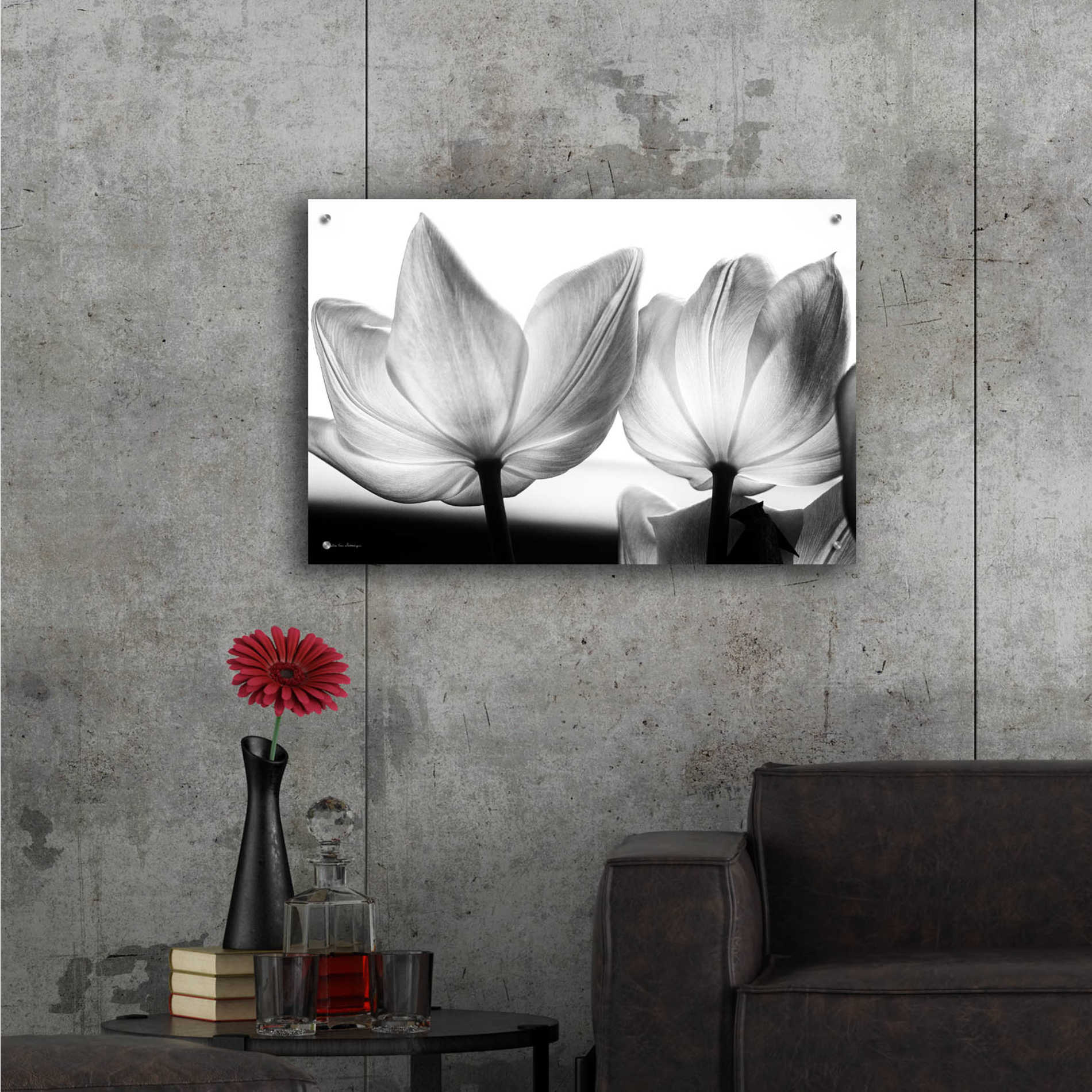 Epic Art 'Translucent Tulips V' by Debra Van Swearingen, Acrylic Glass Wall Art,36x24