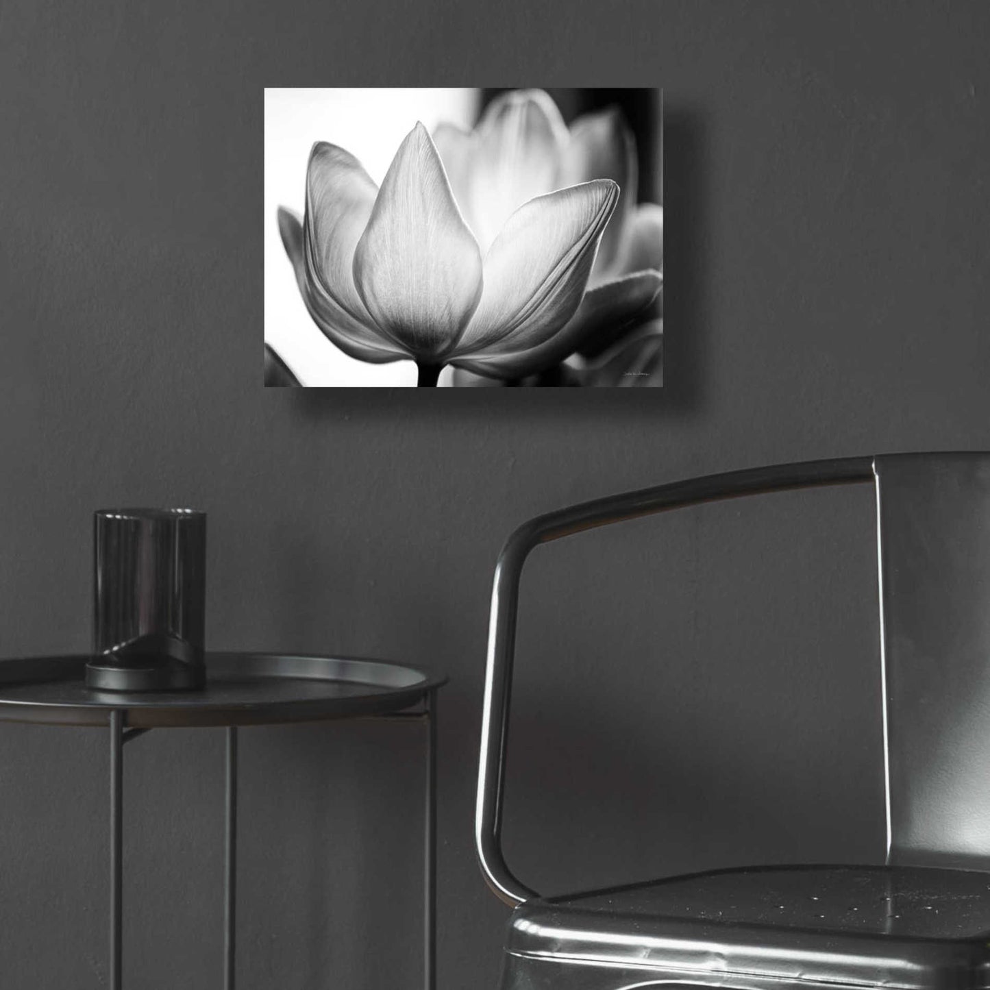 Epic Art 'Translucent Tulips VI' by Debra Van Swearingen, Acrylic Glass Wall Art,16x12