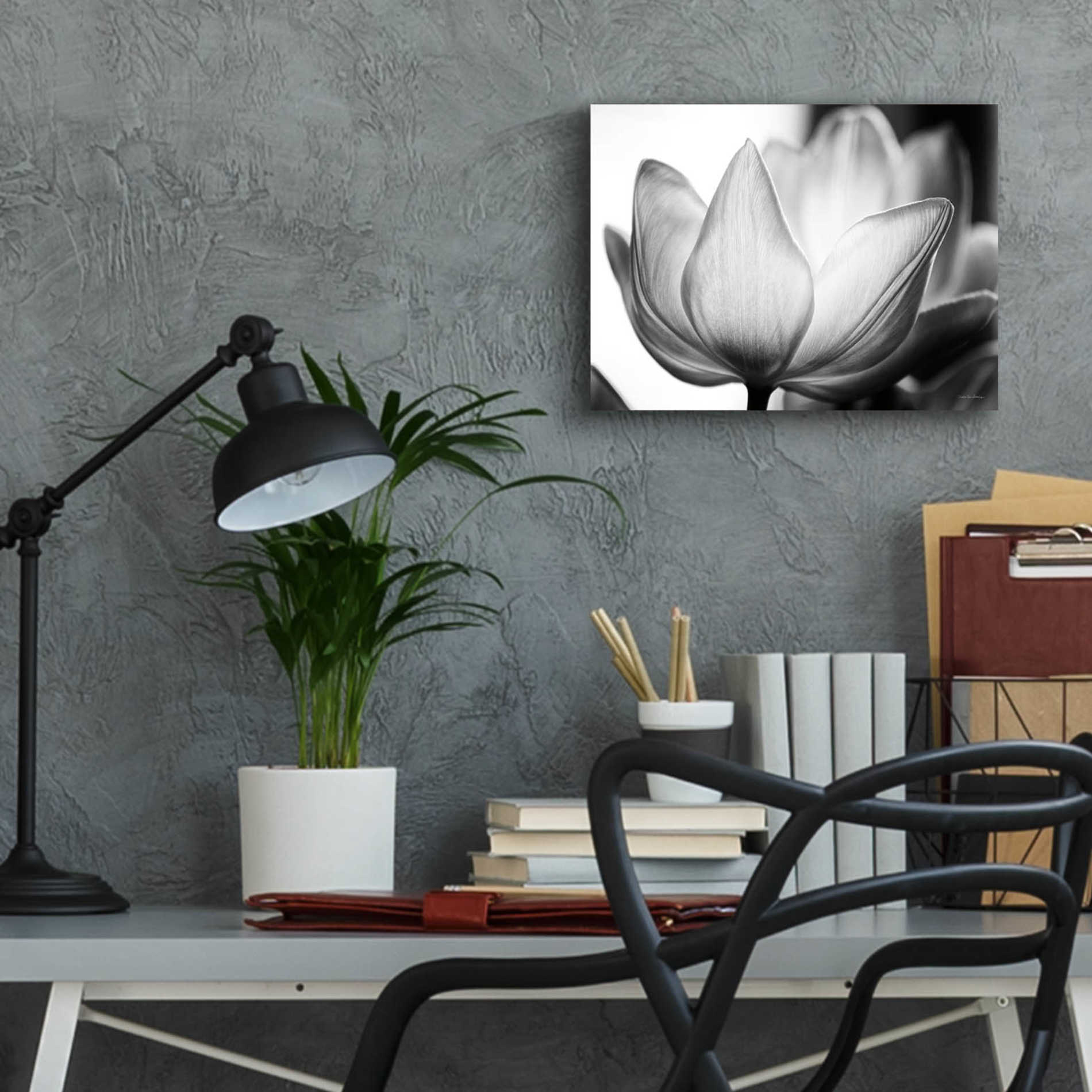 Epic Art 'Translucent Tulips VI' by Debra Van Swearingen, Acrylic Glass Wall Art,16x12