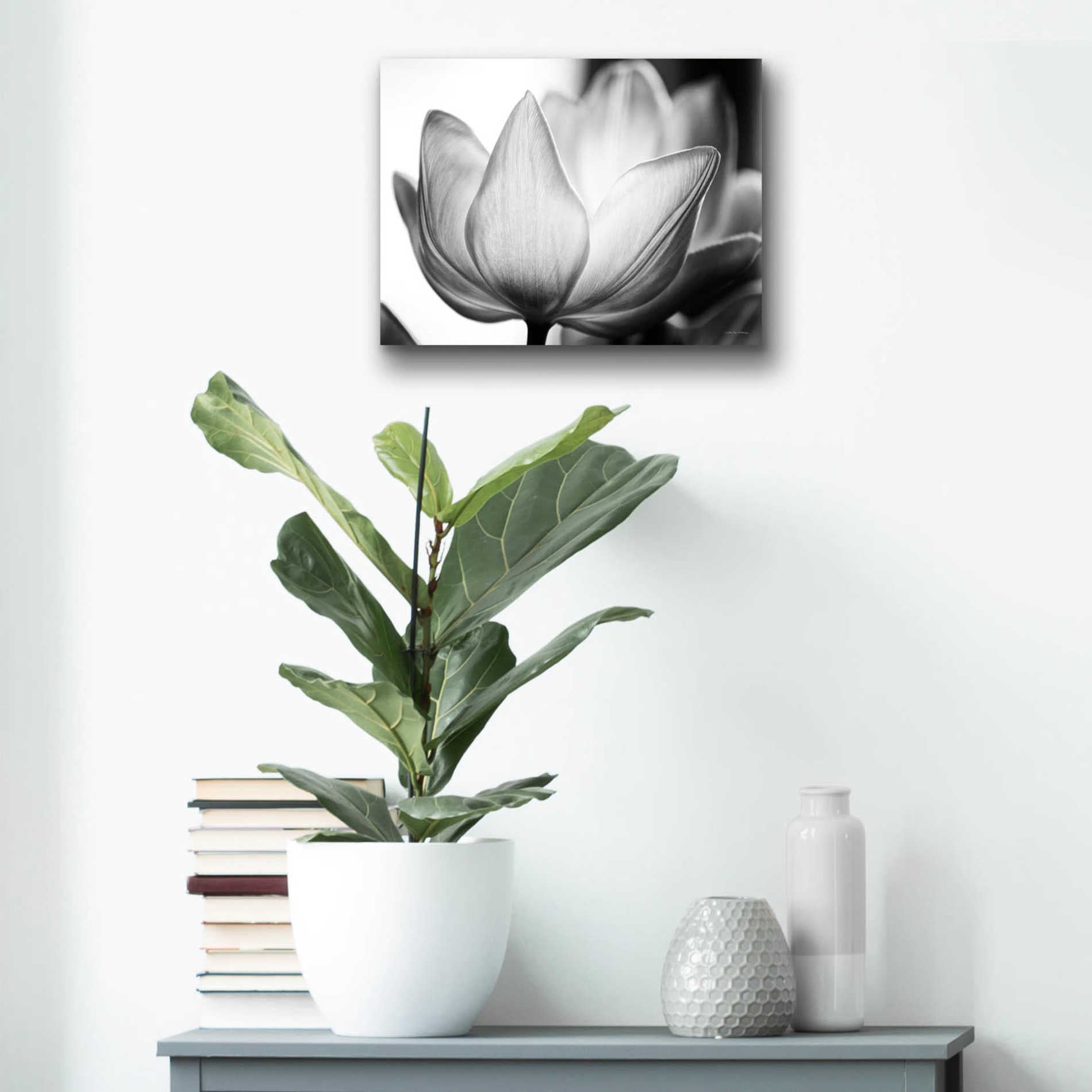 Epic Art 'Translucent Tulips VI' by Debra Van Swearingen, Acrylic Glass Wall Art,16x12