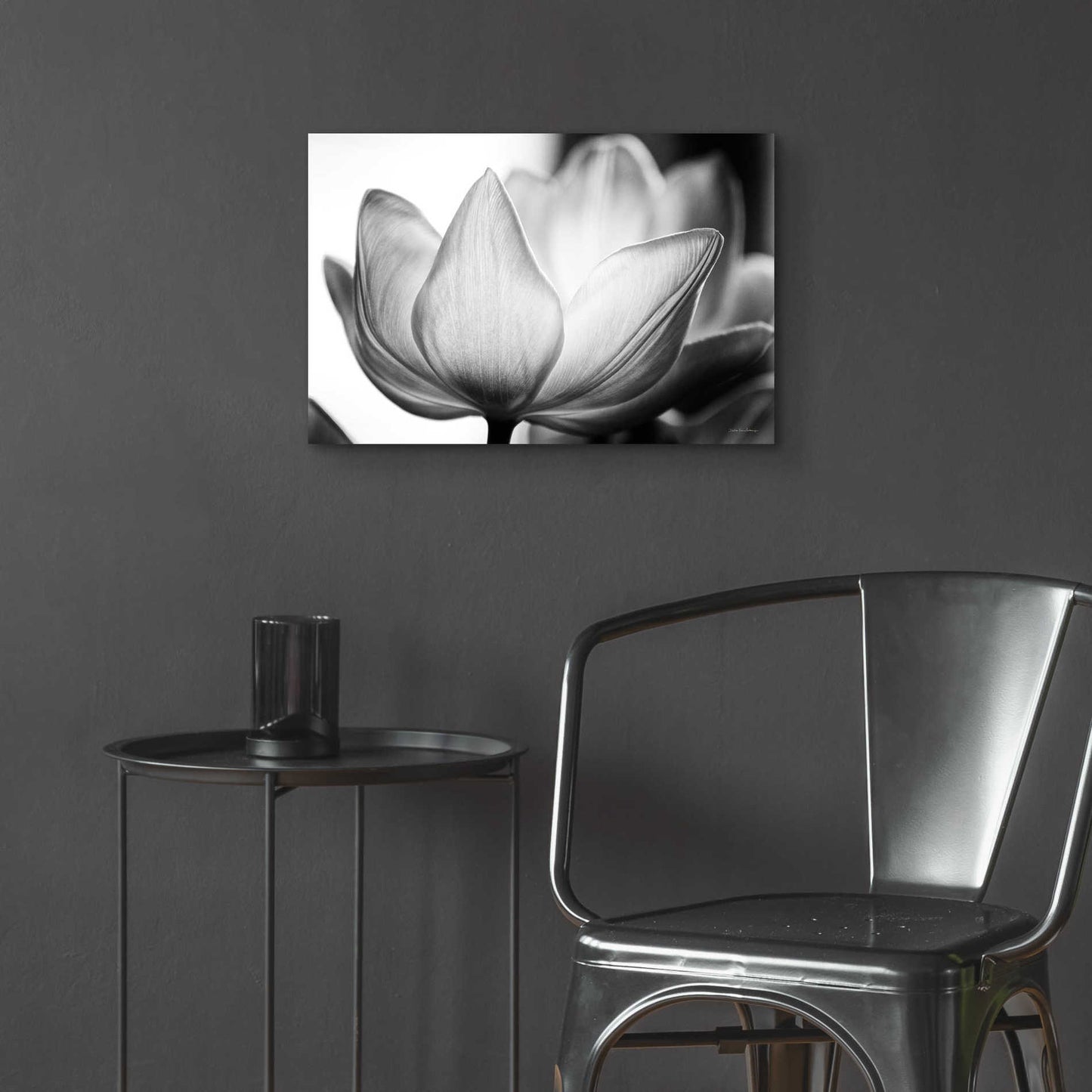 Epic Art 'Translucent Tulips VI' by Debra Van Swearingen, Acrylic Glass Wall Art,24x16