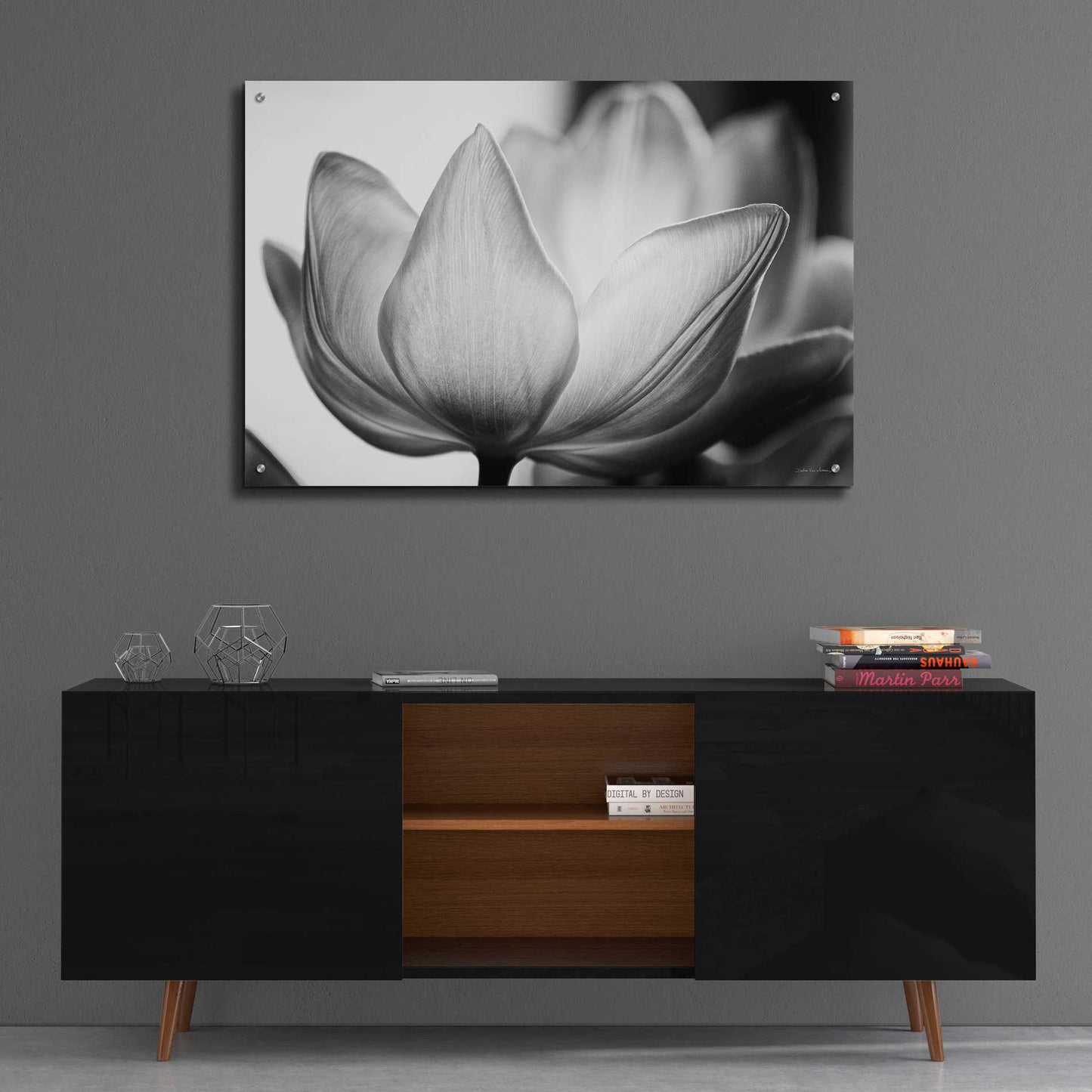 Epic Art 'Translucent Tulips VI' by Debra Van Swearingen, Acrylic Glass Wall Art,36x24