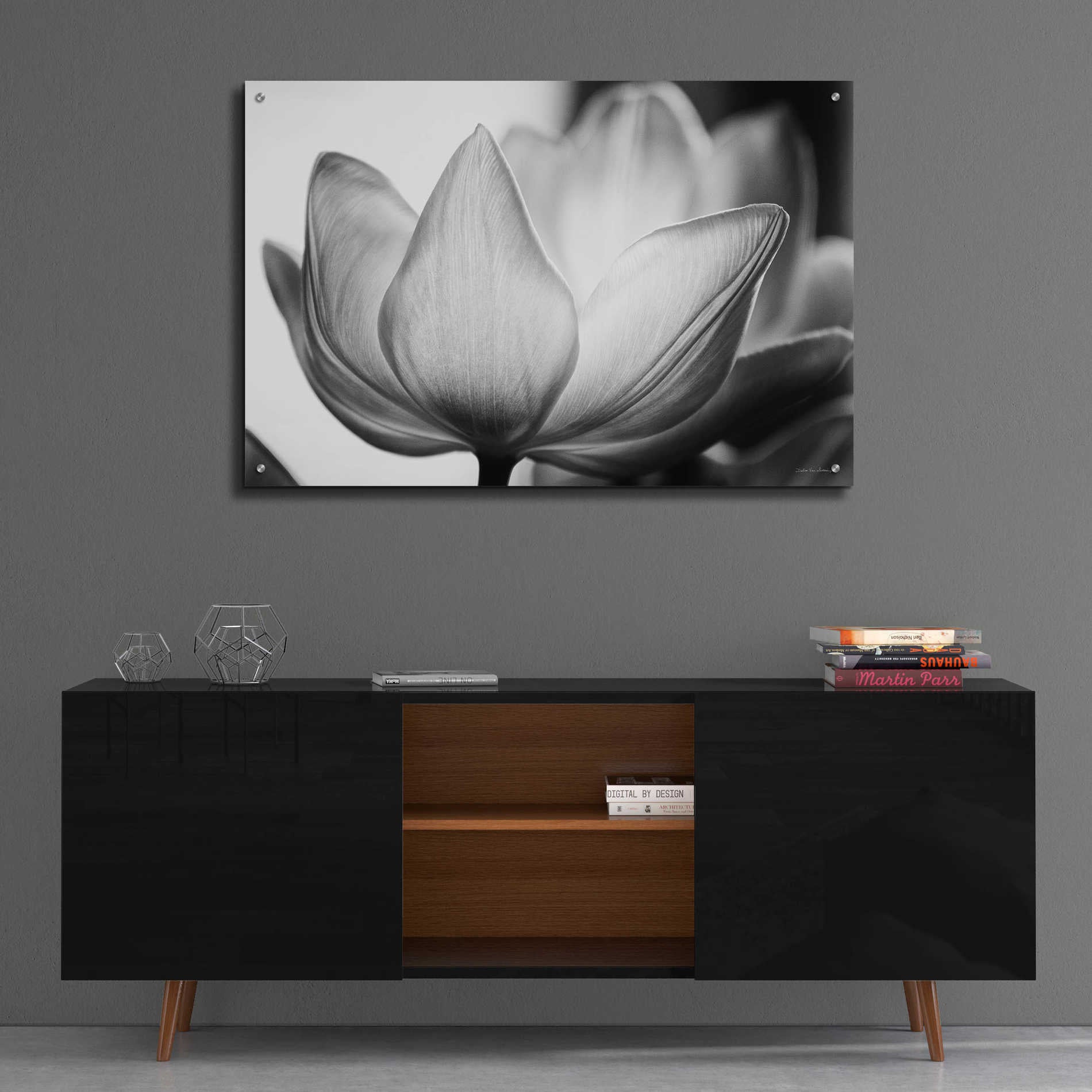 Epic Art 'Translucent Tulips VI' by Debra Van Swearingen, Acrylic Glass Wall Art,36x24