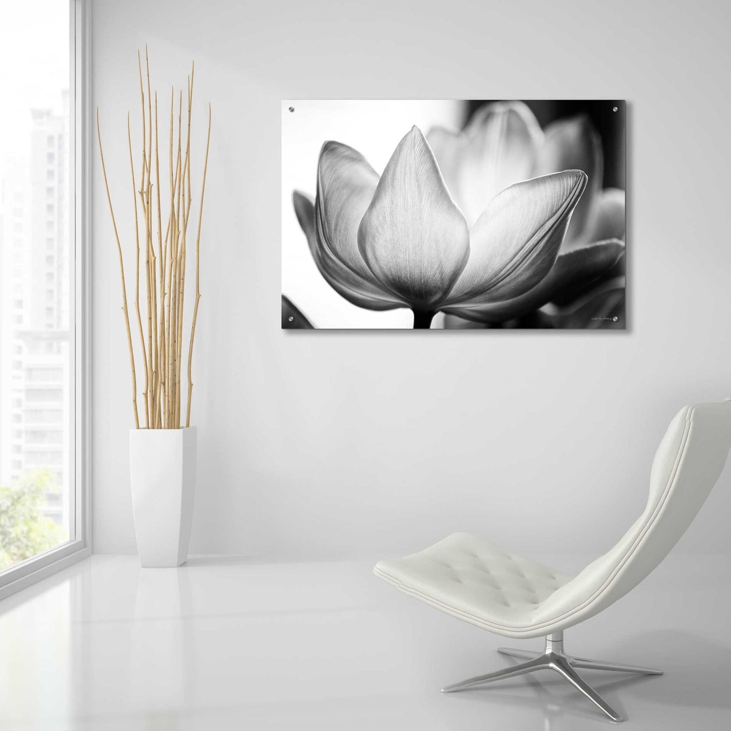 Epic Art 'Translucent Tulips VI' by Debra Van Swearingen, Acrylic Glass Wall Art,36x24