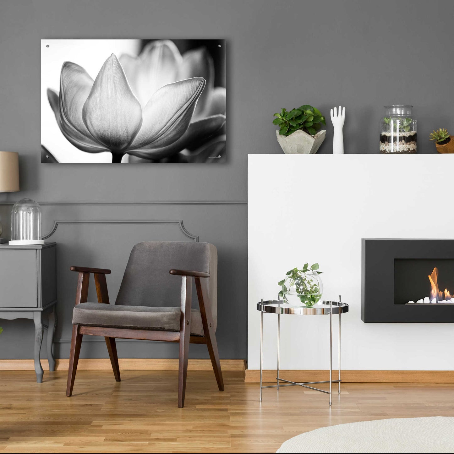 Epic Art 'Translucent Tulips VI' by Debra Van Swearingen, Acrylic Glass Wall Art,36x24