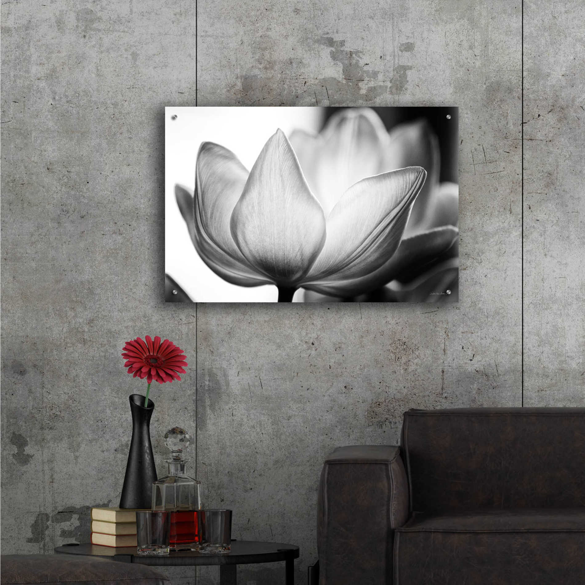 Epic Art 'Translucent Tulips VI' by Debra Van Swearingen, Acrylic Glass Wall Art,36x24