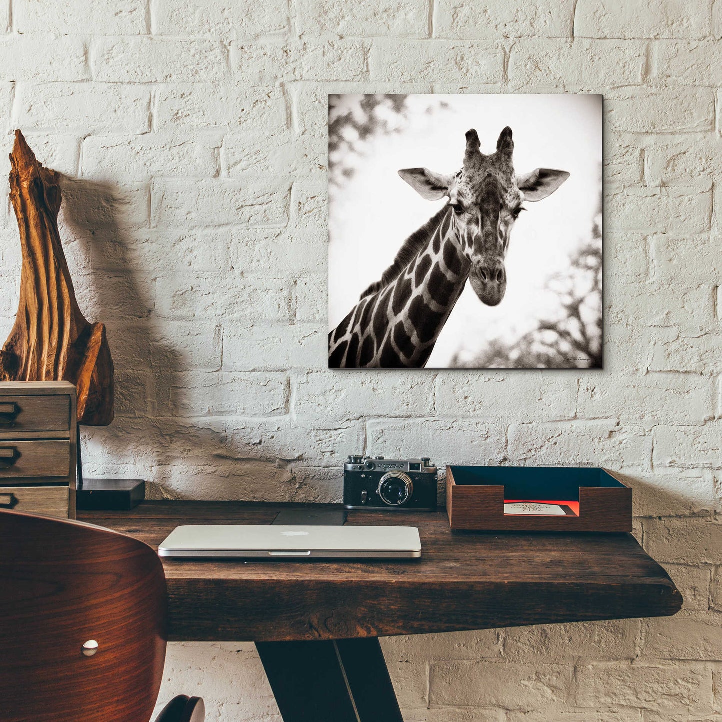 Epic Art 'Giraffe I' by Debra Van Swearingen, Acrylic Glass Wall Art,12x12