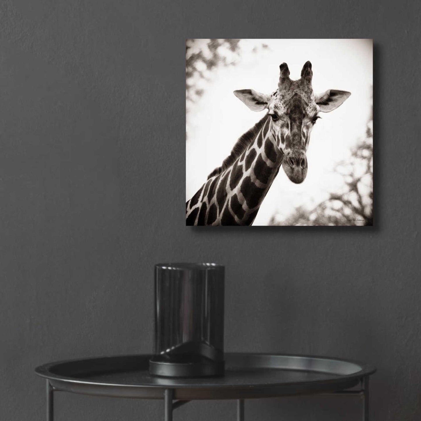 Epic Art 'Giraffe I' by Debra Van Swearingen, Acrylic Glass Wall Art,12x12