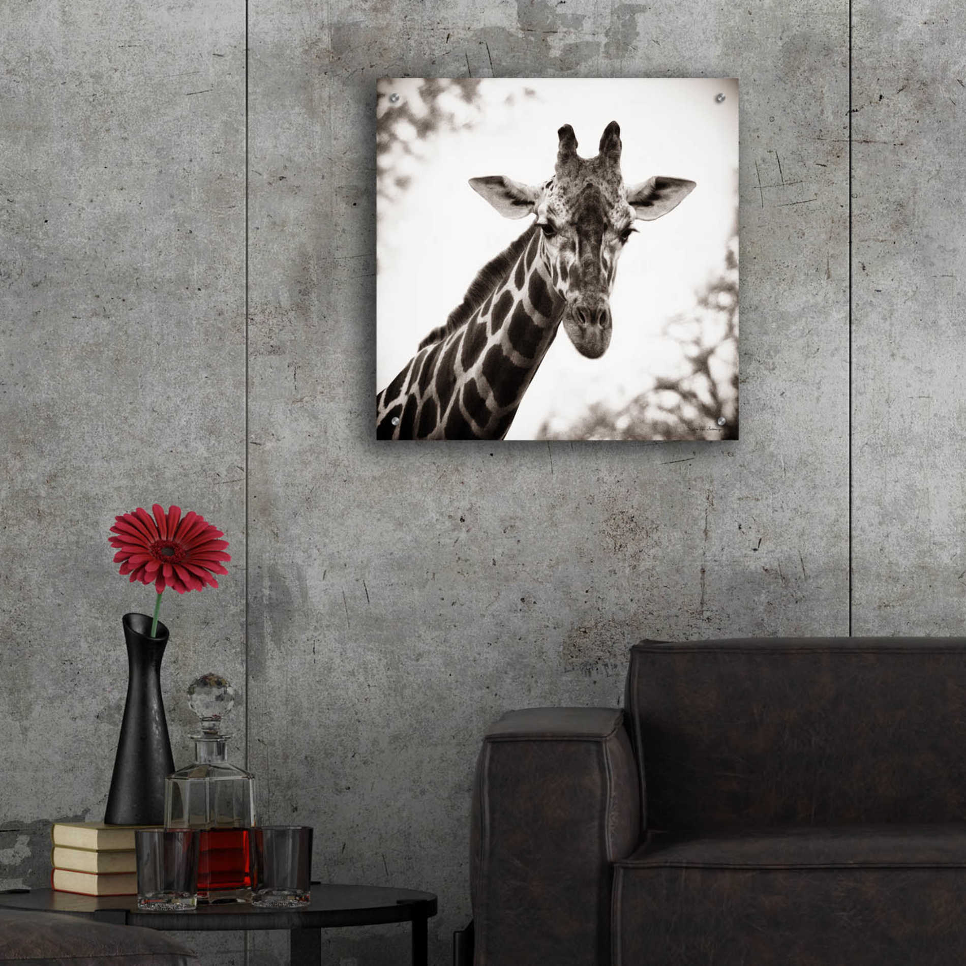 Epic Art 'Giraffe I' by Debra Van Swearingen, Acrylic Glass Wall Art,24x24