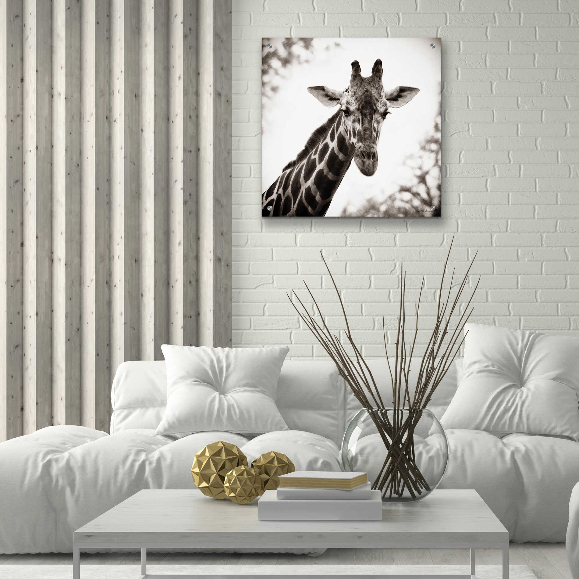 Epic Art 'Giraffe I' by Debra Van Swearingen, Acrylic Glass Wall Art,24x24