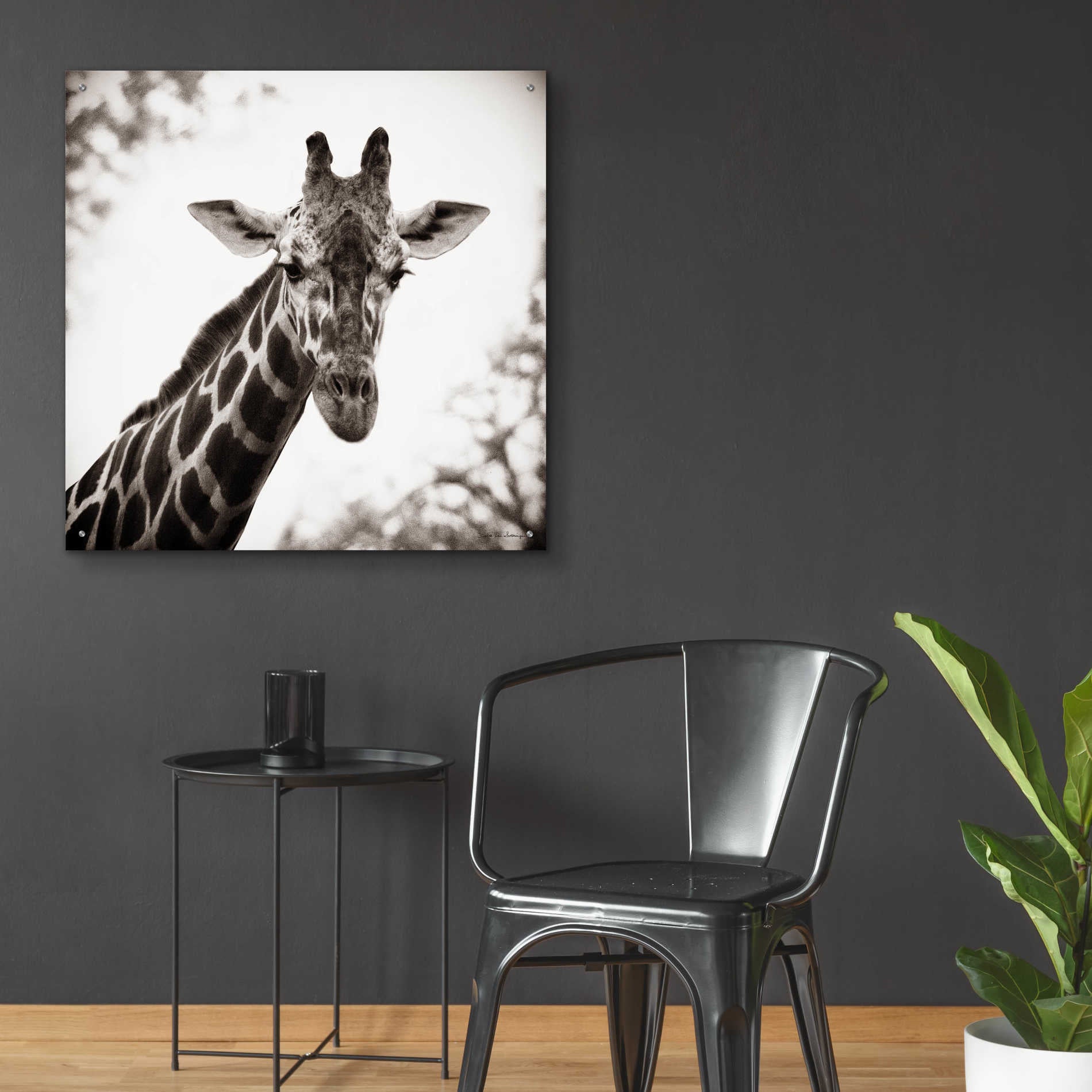 Epic Art 'Giraffe I' by Debra Van Swearingen, Acrylic Glass Wall Art,36x36