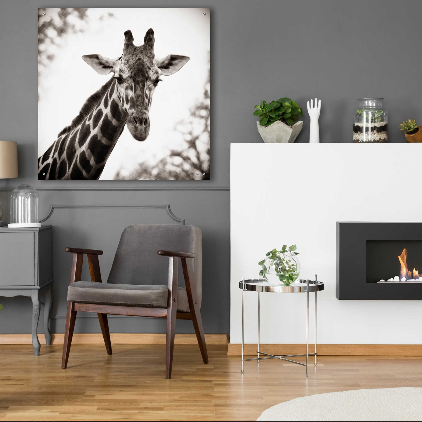 Epic Art 'Giraffe I' by Debra Van Swearingen, Acrylic Glass Wall Art,36x36