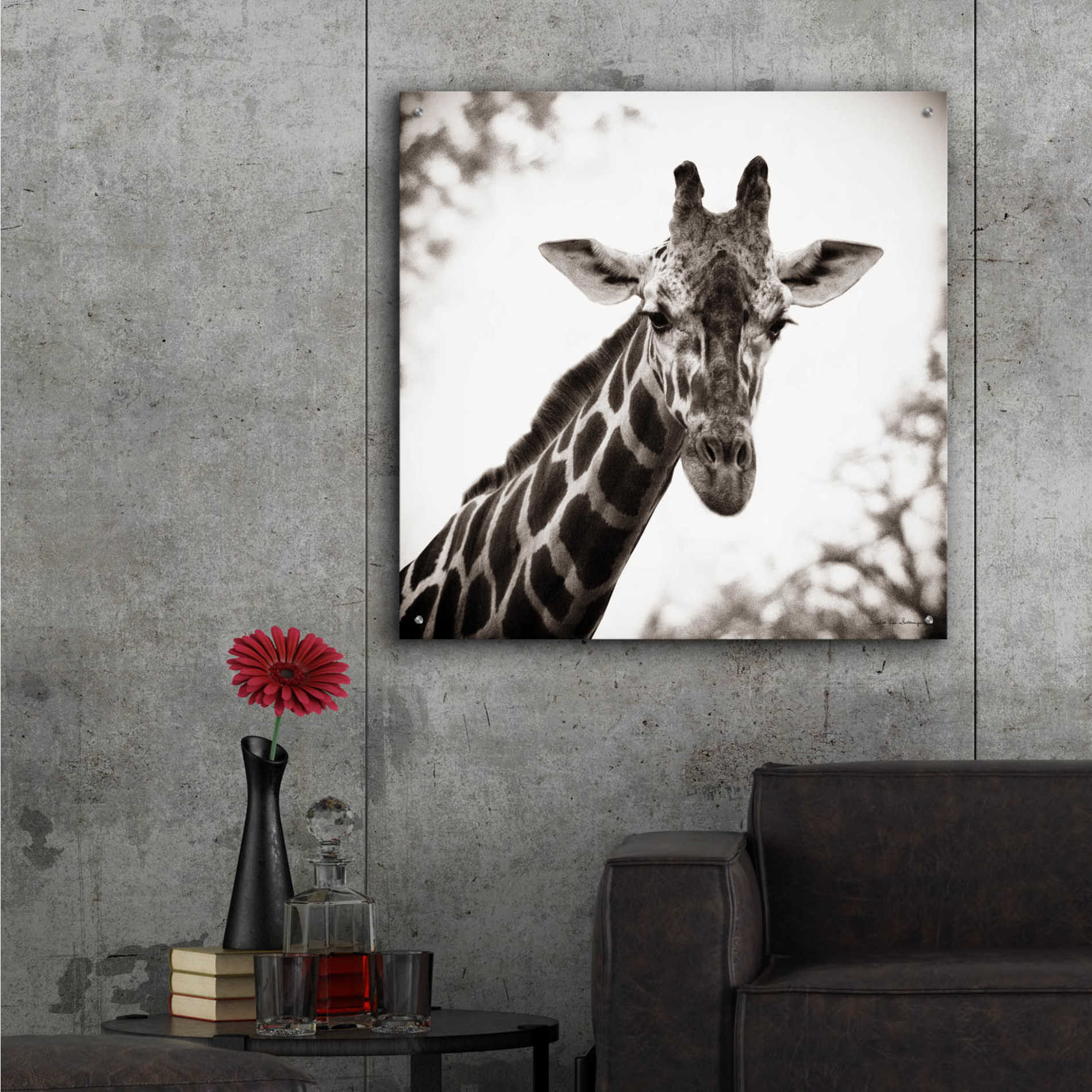 Epic Art 'Giraffe I' by Debra Van Swearingen, Acrylic Glass Wall Art,36x36