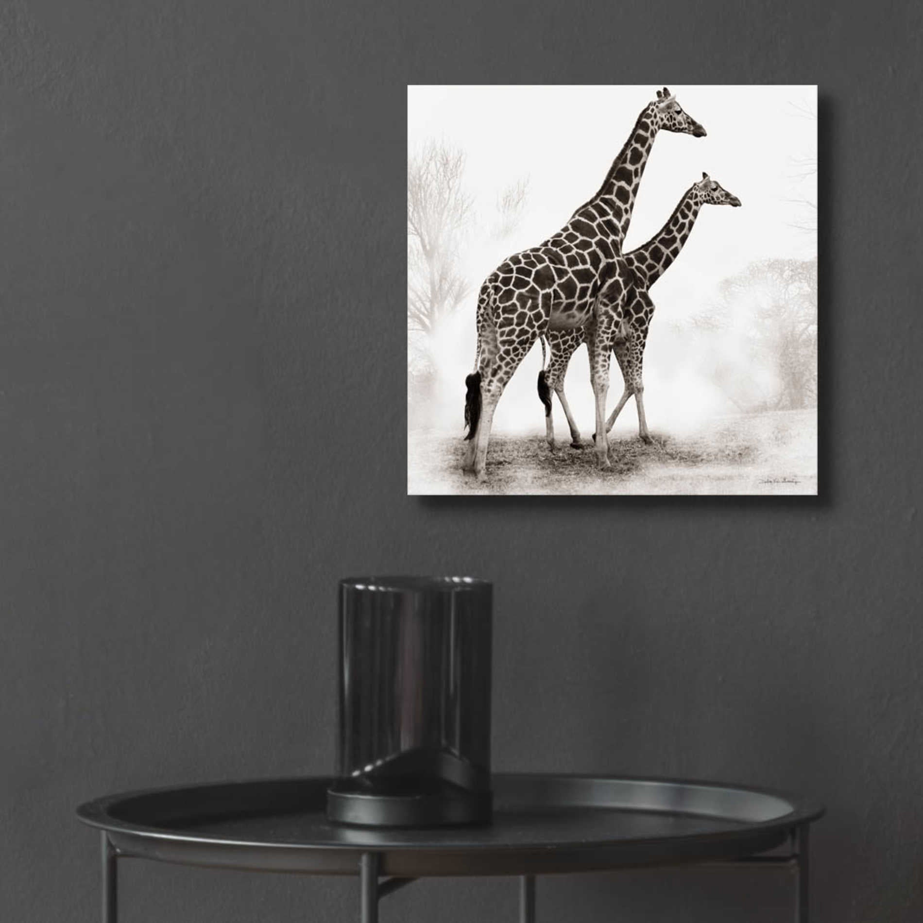 Epic Art 'Giraffe III' by Debra Van Swearingen, Acrylic Glass Wall Art,12x12