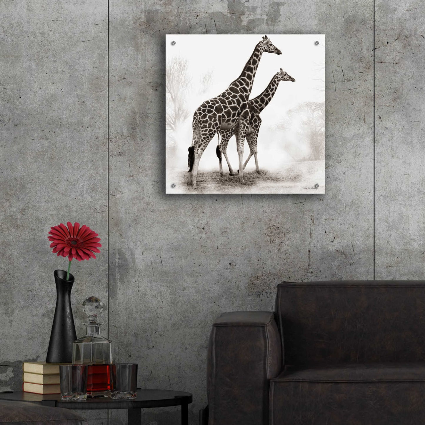 Epic Art 'Giraffe III' by Debra Van Swearingen, Acrylic Glass Wall Art,24x24