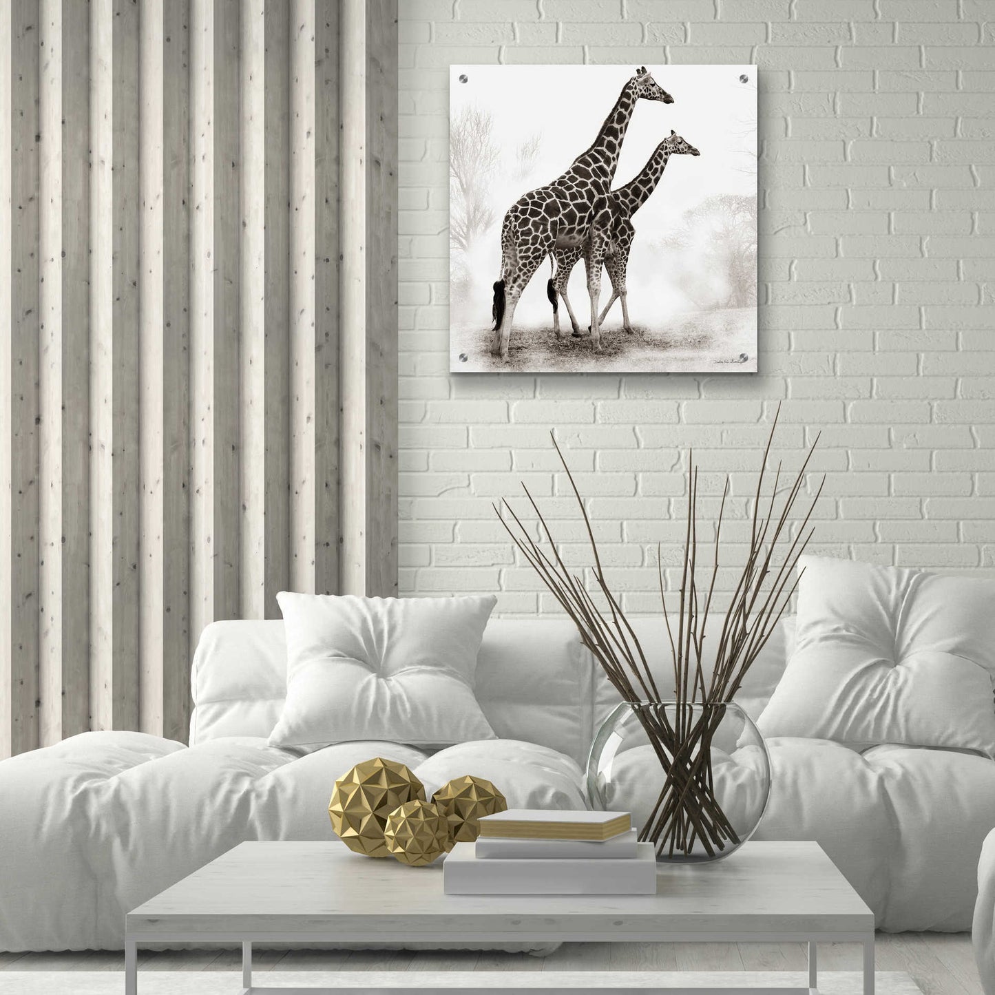 Epic Art 'Giraffe III' by Debra Van Swearingen, Acrylic Glass Wall Art,24x24