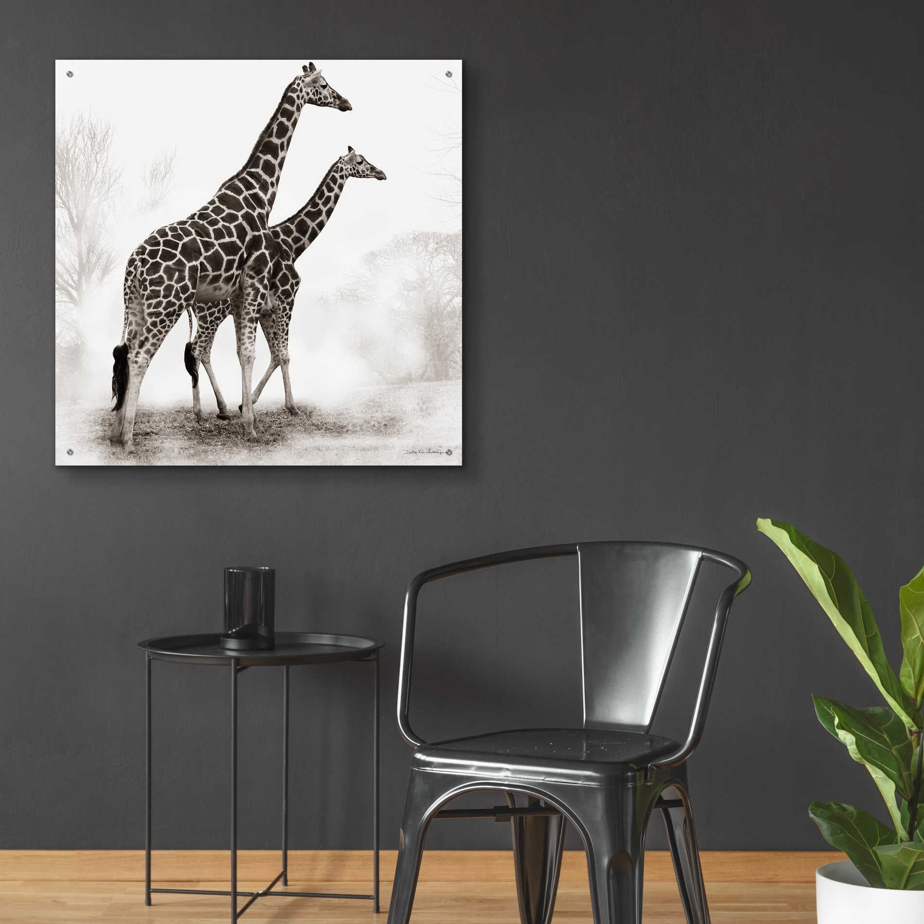 Epic Art 'Giraffe III' by Debra Van Swearingen, Acrylic Glass Wall Art,36x36