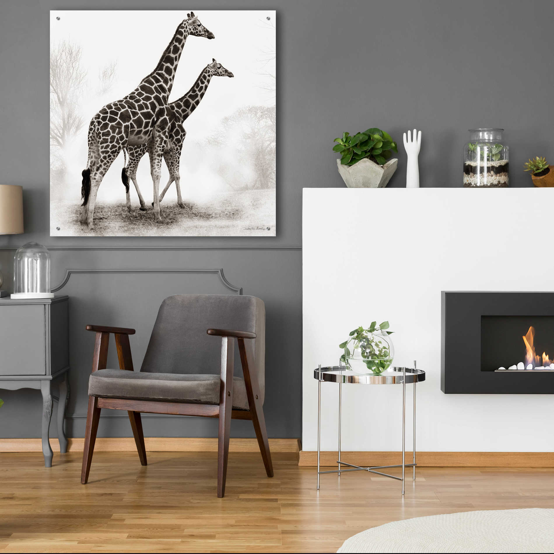 Epic Art 'Giraffe III' by Debra Van Swearingen, Acrylic Glass Wall Art,36x36