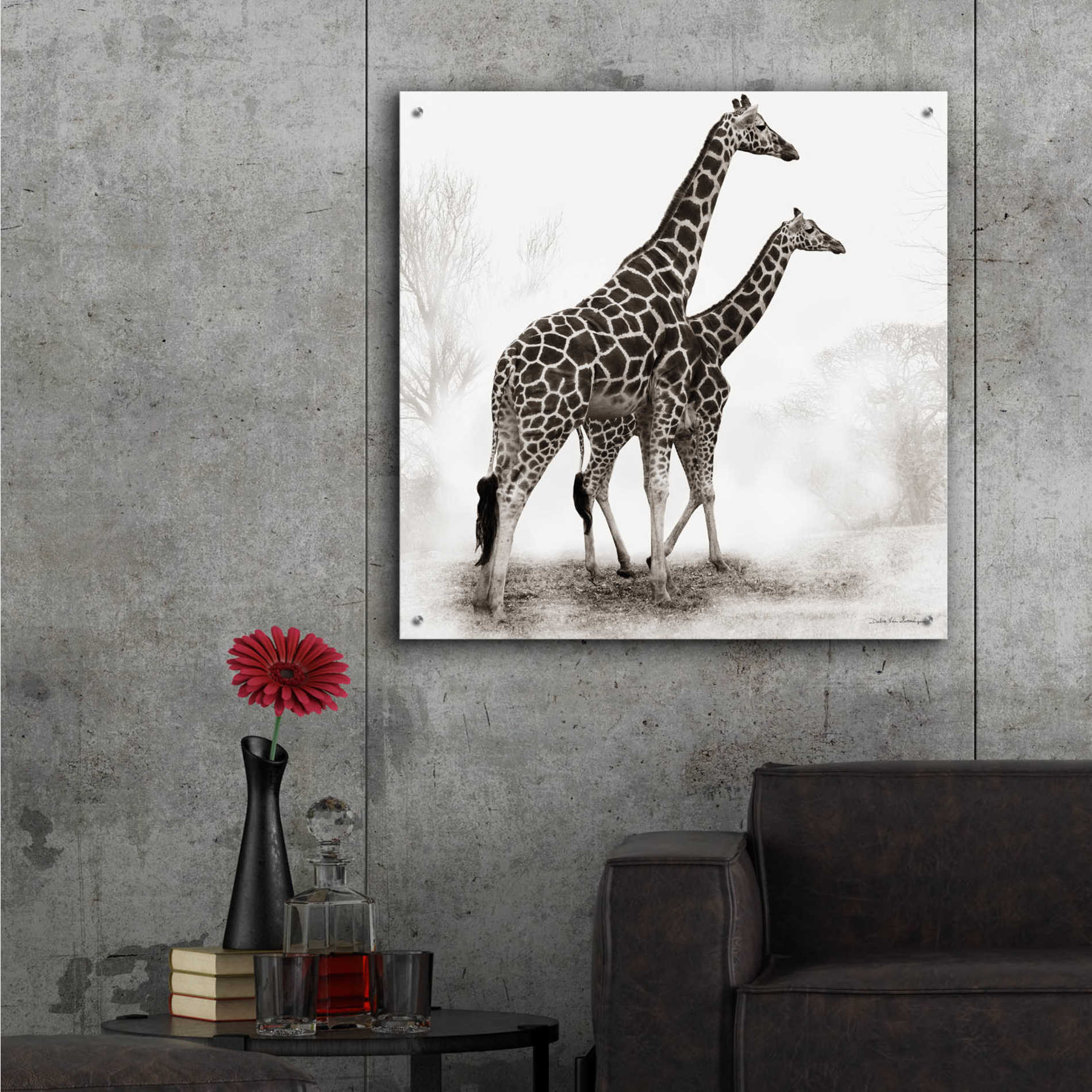 Epic Art 'Giraffe III' by Debra Van Swearingen, Acrylic Glass Wall Art,36x36